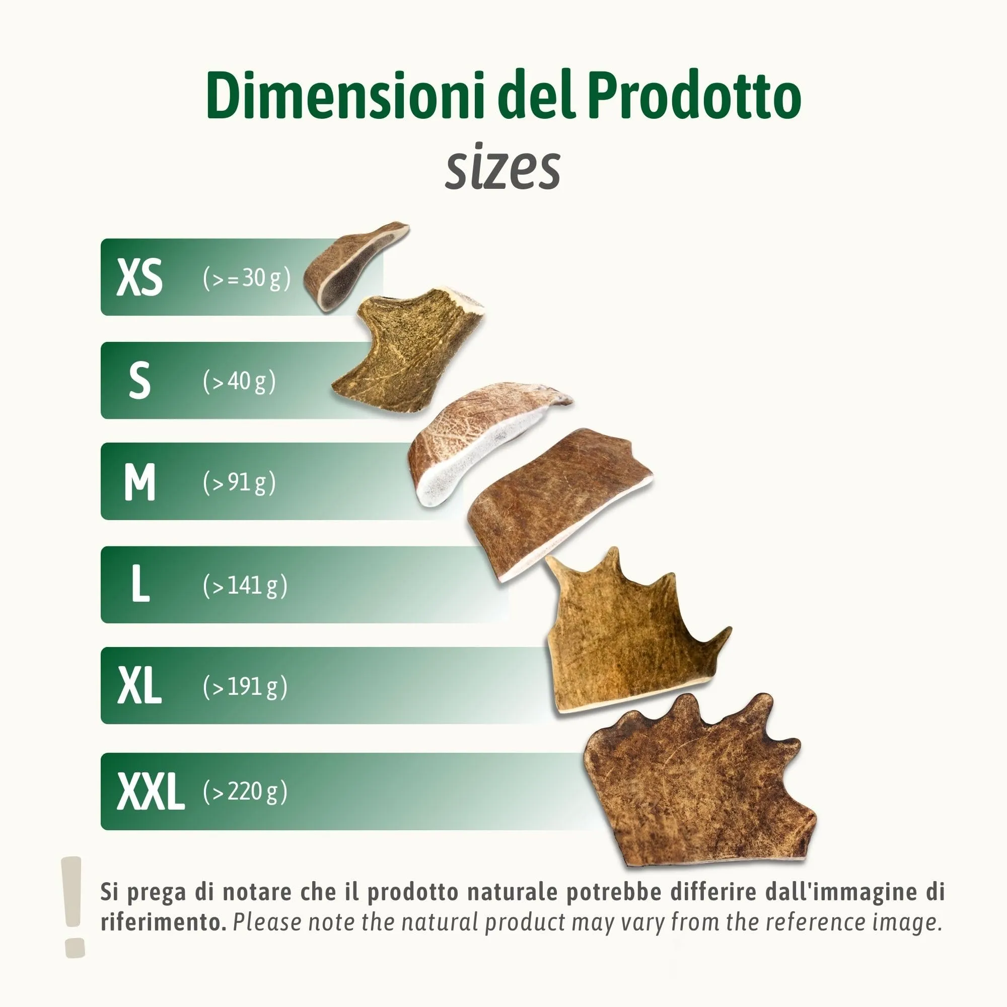 ChronoBalance-XL Corno di Cervo Daino per Cani, Confezione da 2, 100% Naturale, Osso di Cervo, Cura Dentale, Giocattolo per Cani, Ricco di Minerali e Nutrienti, Lunga Durata - immagine 3
