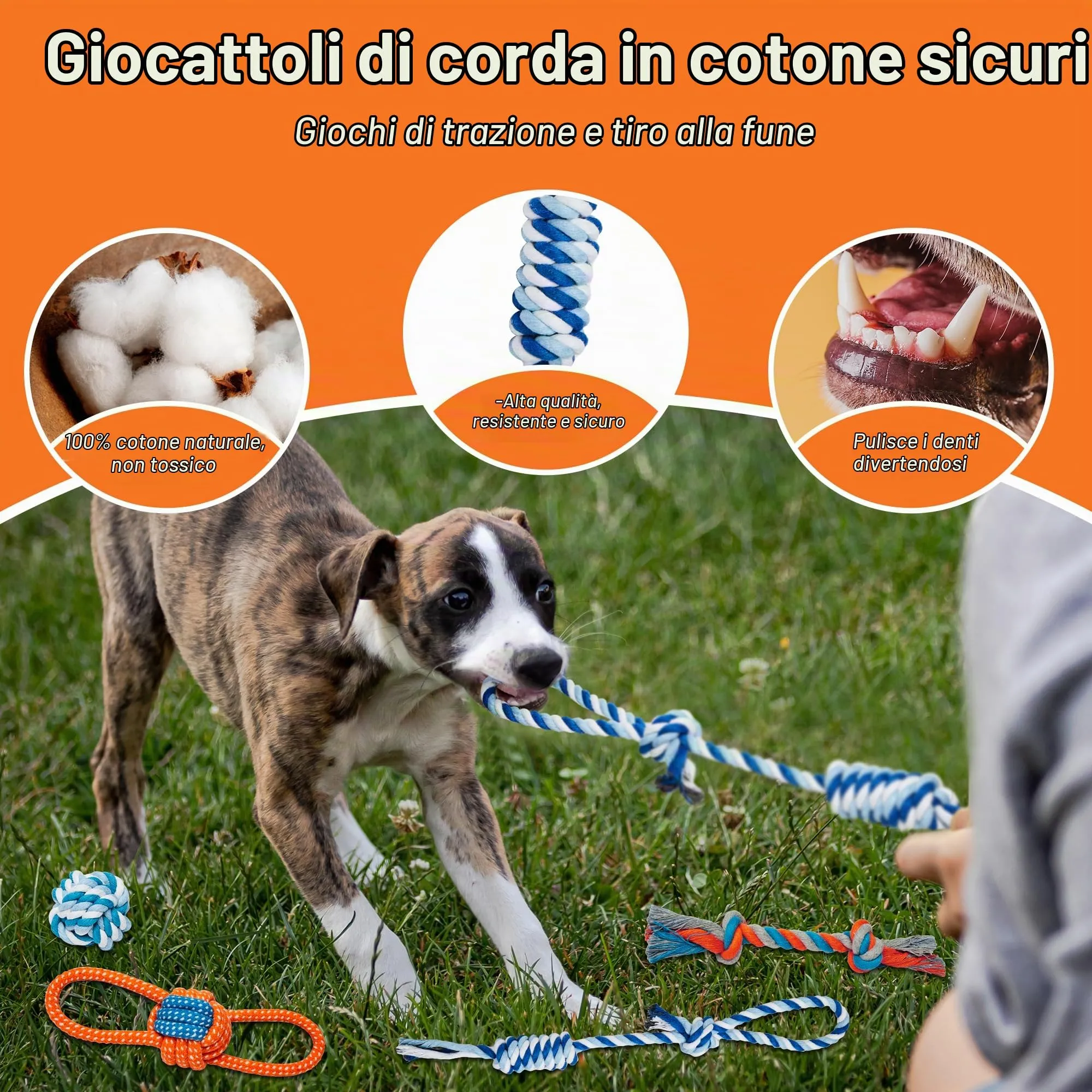 Toozey Giocattoli per Cani Piccoli, Set di 8 Giocattoli per Cuccioli, Giocattoli Intelligenti da Masticare e Corda per Cani Durevole e Squillante, Cotone Naturale, Allevia Lo Stress e la Noia - immagine 3