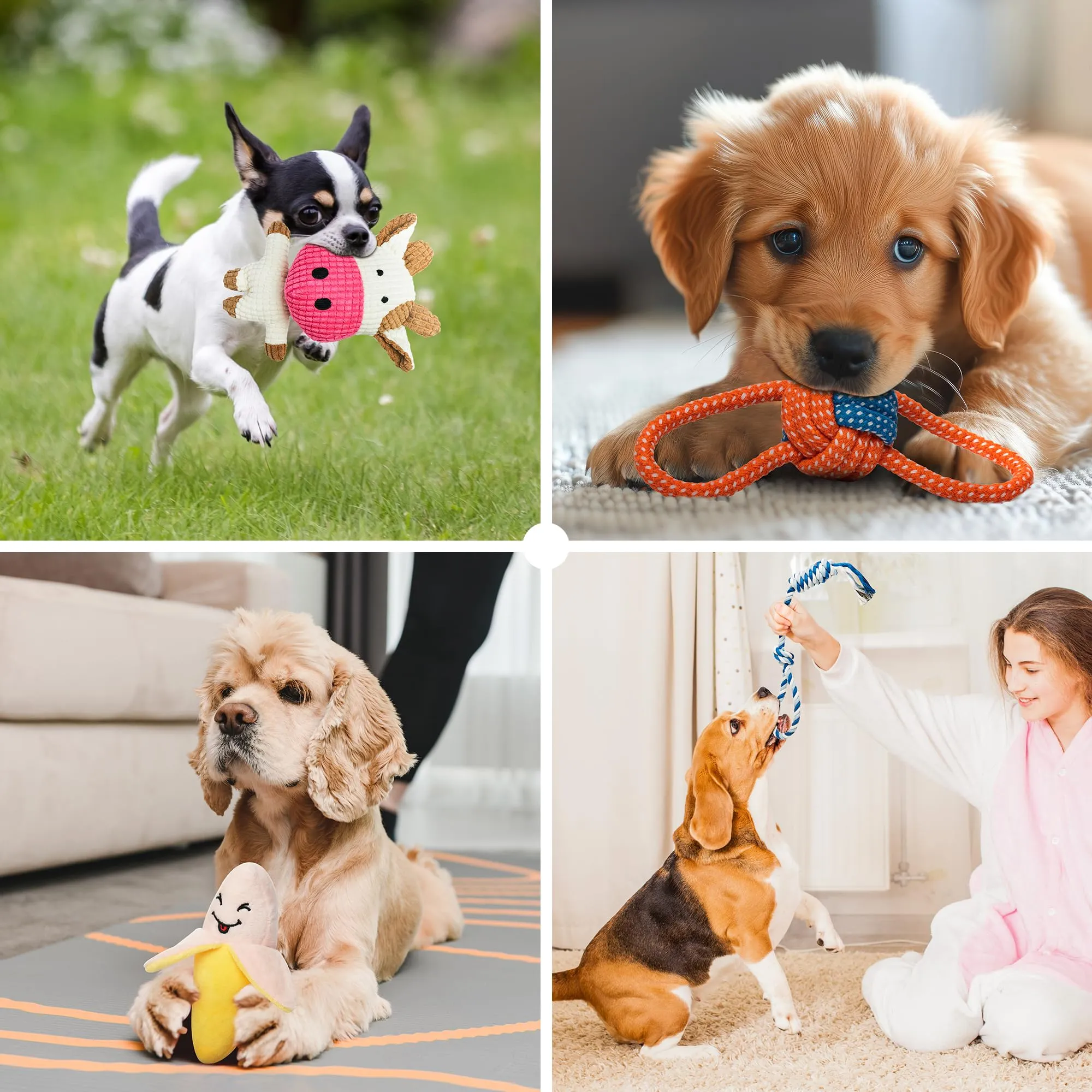 Toozey Giocattoli per Cani Piccoli, Set di 8 Giocattoli per Cuccioli, Giocattoli Intelligenti da Masticare e Corda per Cani Durevole e Squillante, Cotone Naturale, Allevia Lo Stress e la Noia - immagine 6