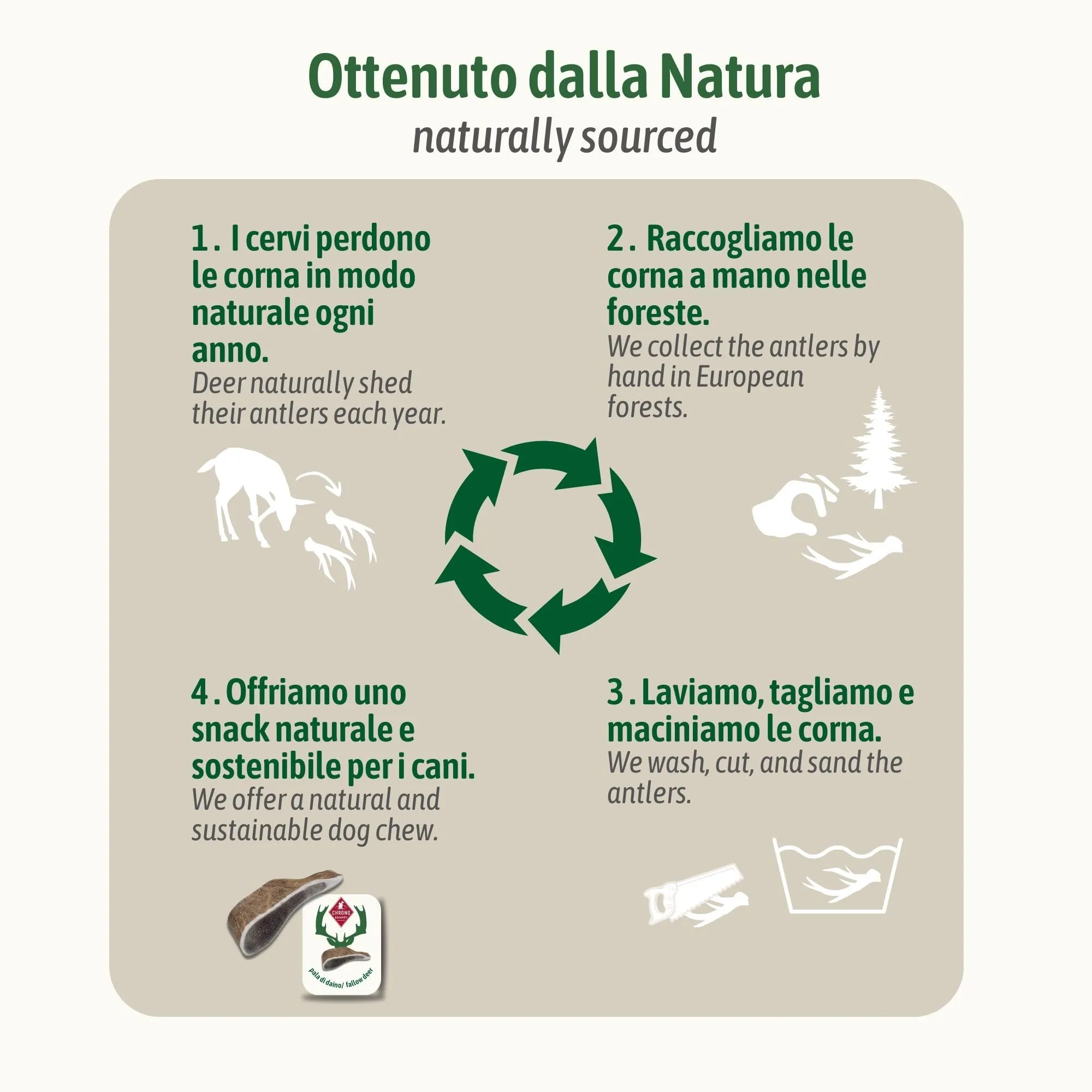 ChronoBalance-XXL Corno di Cervo Daino per Cani, Confezione da 1, 100% Naturale, Osso di Cervo, Cura Dentale, Giocattolo per Cani, Ricco di Minerali e Nutrienti, Lunga Durata - immagine 8