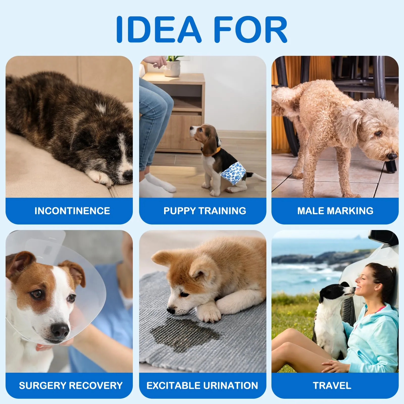Dono Pannolini Cani Maschi, 60 Pezzi, Pannolini per Cani Maschi per Incontinenza, Indicatore di Bagnatura, Super Assorbenti, a Prova di Perdite, Minzione Eccitante, Calore,XS,S,M,L - immagine 7