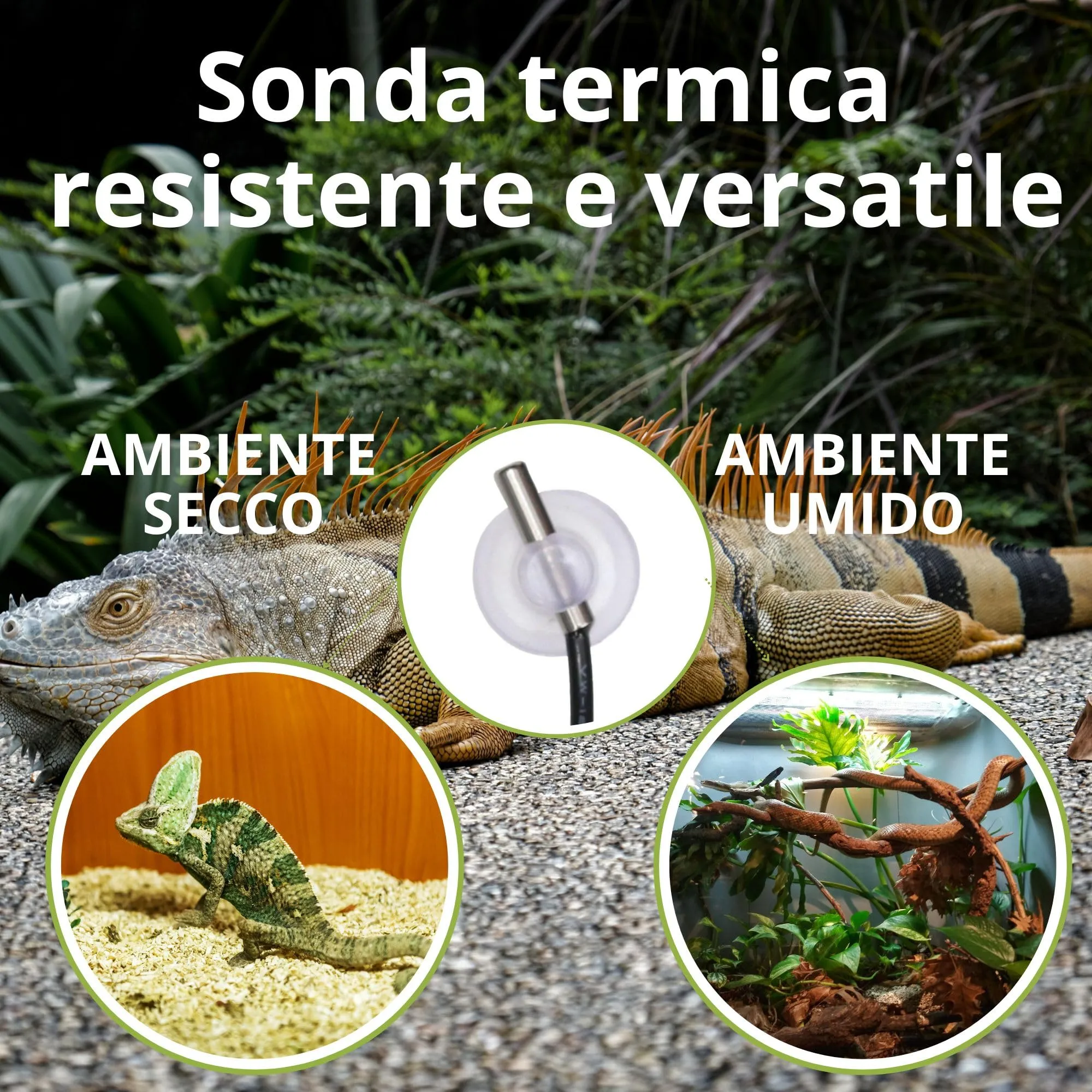Termoregolatore con sonda termostato Analogico per Serpenti Tartarughe Lucertole Gechi Altri Rettili Regolabile tra 21°C e 33°C Max 500w Ideale con Tappetini Lampade Cavi Riscaldanti Pet Tribe - immagine 4