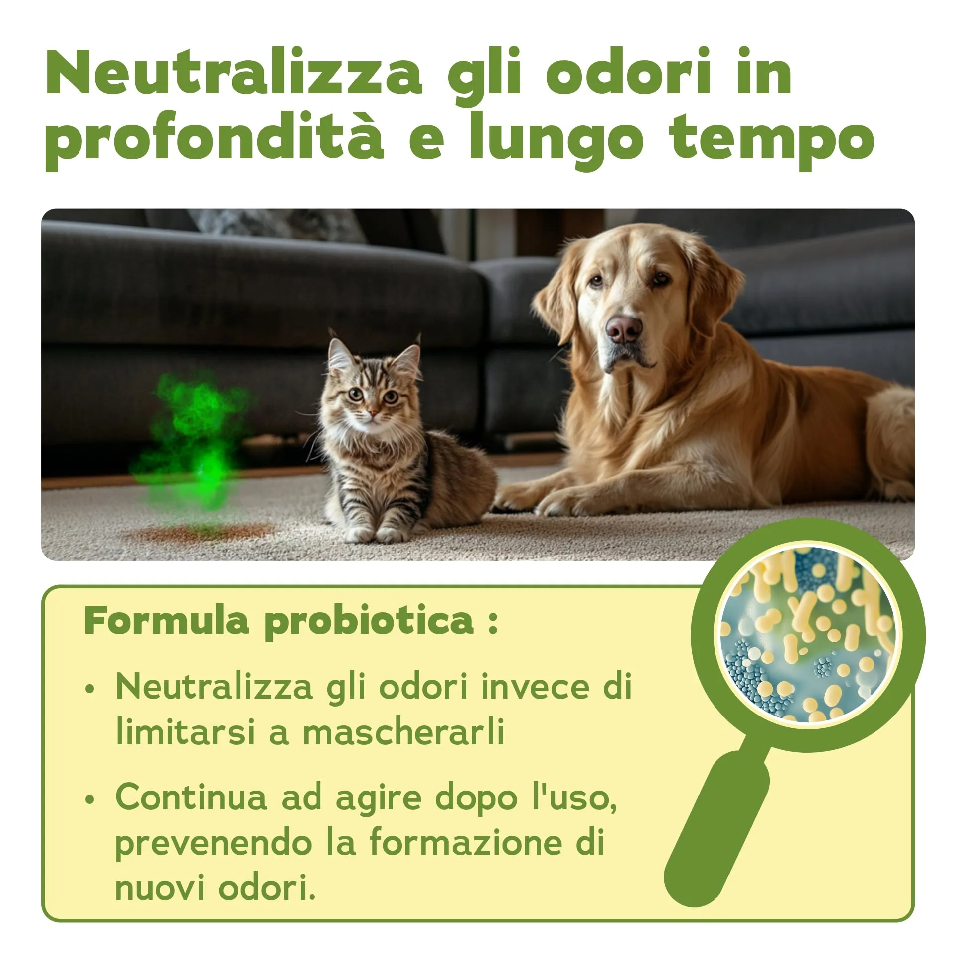 bio-chem Detergente enzimatico 1L per gli odori degli animali - immagine 3