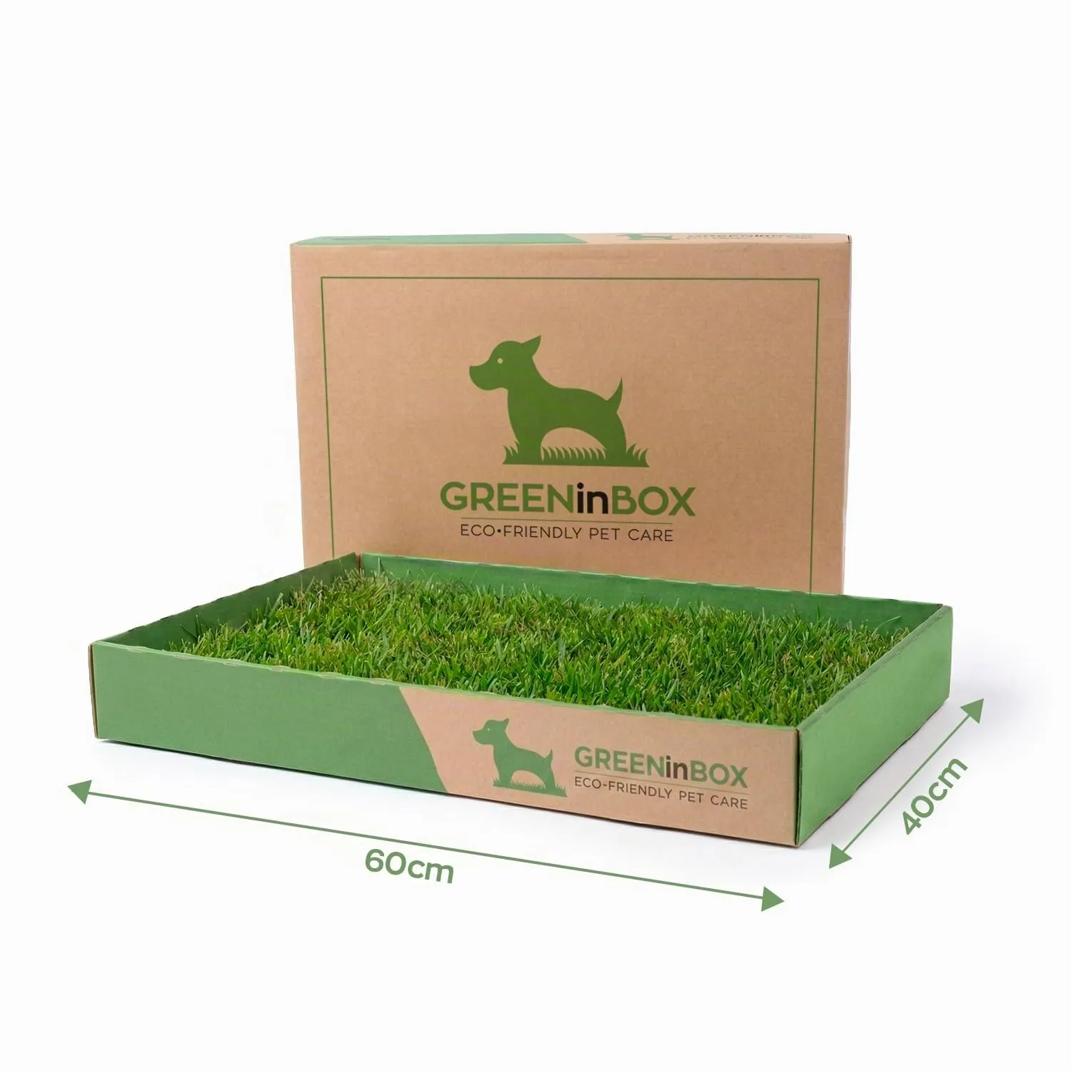 GreenInBox® Zolla in Vera Erba – Lettiera Naturale per Training Cucciolo, Cani Piccoli. 60x40 cm - immagine 2