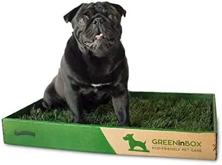 GreenInBox® Zolla in Vera Erba – Lettiera Naturale per Training Cucciolo, Cani Piccoli. 60x40 cm - immagine 6