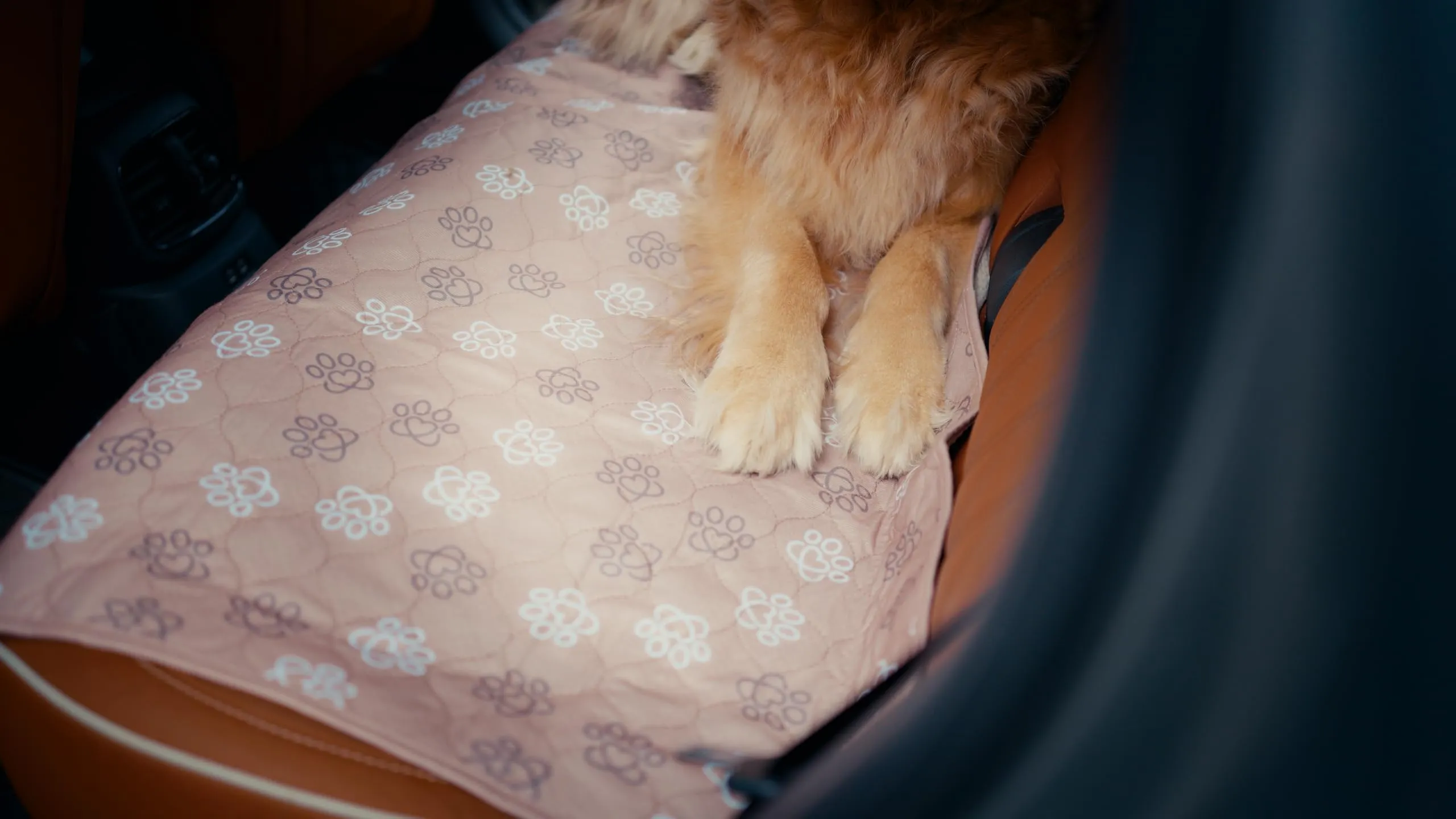 Baupad - tappetino lavabile per cani - traversa impermeabile e assorbente con tecnologia 4 strati per casa auto e viaggio. Traversine lavabili in lavatrice fino a 300 lavaggi. Taglia M - Beige - immagine 4
