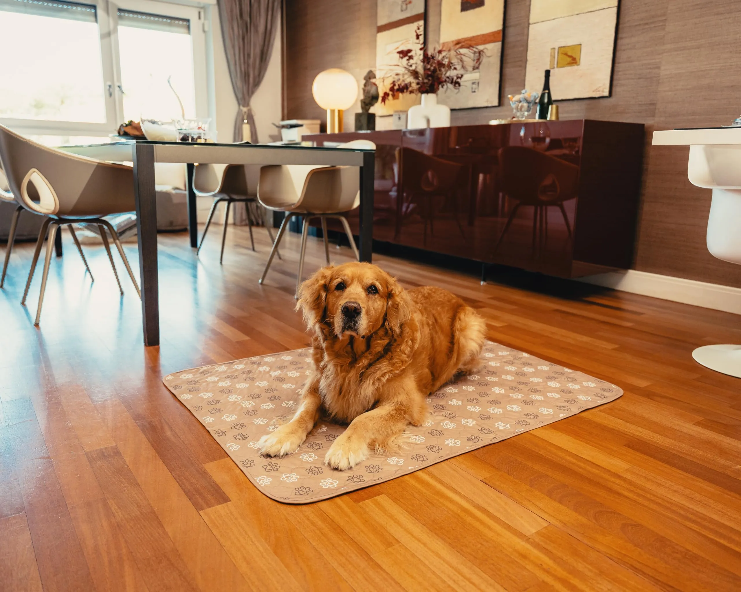 Baupad - tappetino lavabile per cani - traversa impermeabile e assorbente con tecnologia 4 strati per casa auto e viaggio. Traversine lavabili in lavatrice fino a 300 lavaggi. Taglia M - Beige - immagine 6
