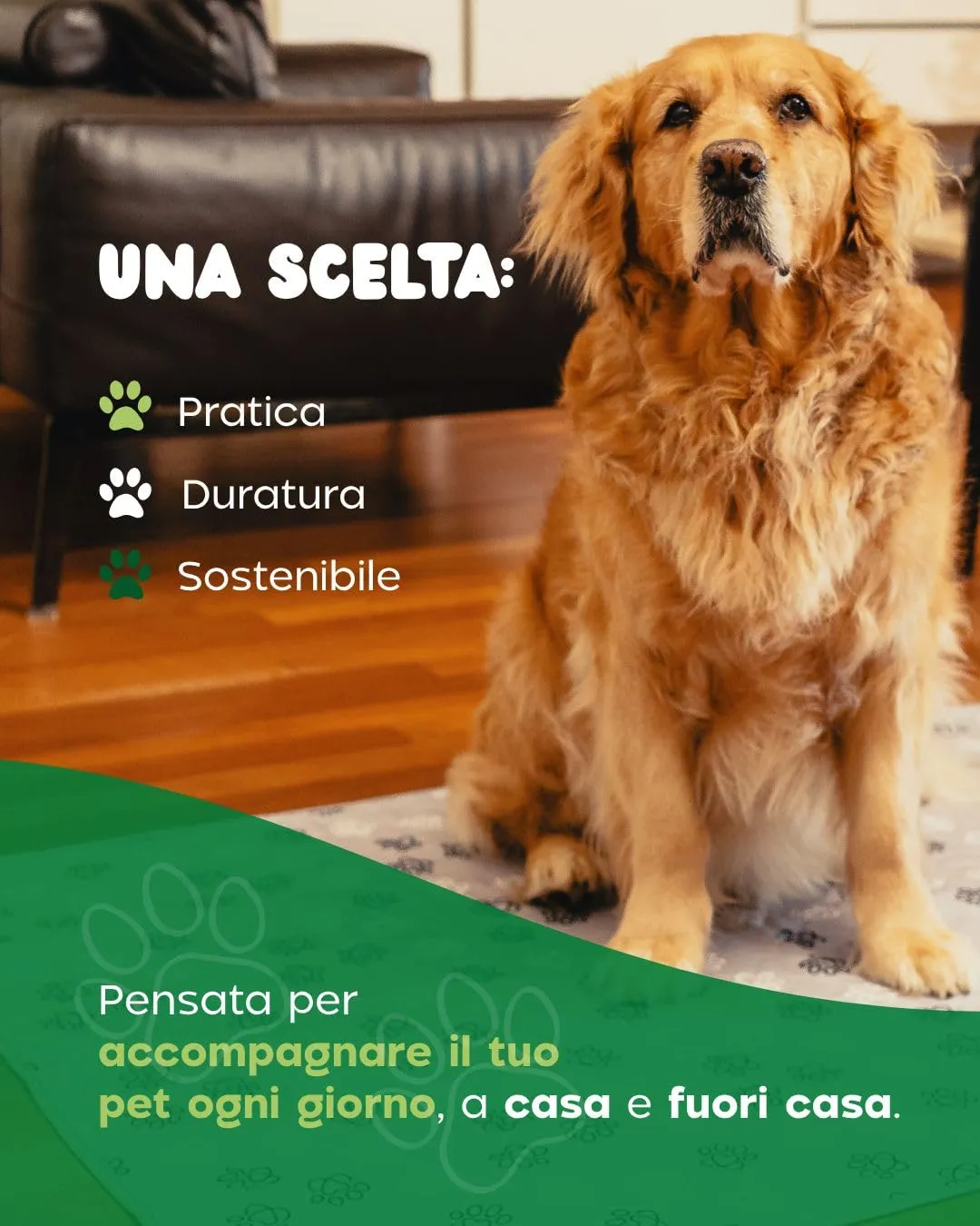 Baupad - tappetino lavabile per cani - traversa impermeabile e assorbente con tecnologia 4 strati per casa auto e viaggio. Traversine lavabili in lavatrice fino a 300 lavaggi. Taglia M - Beige - immagine 9