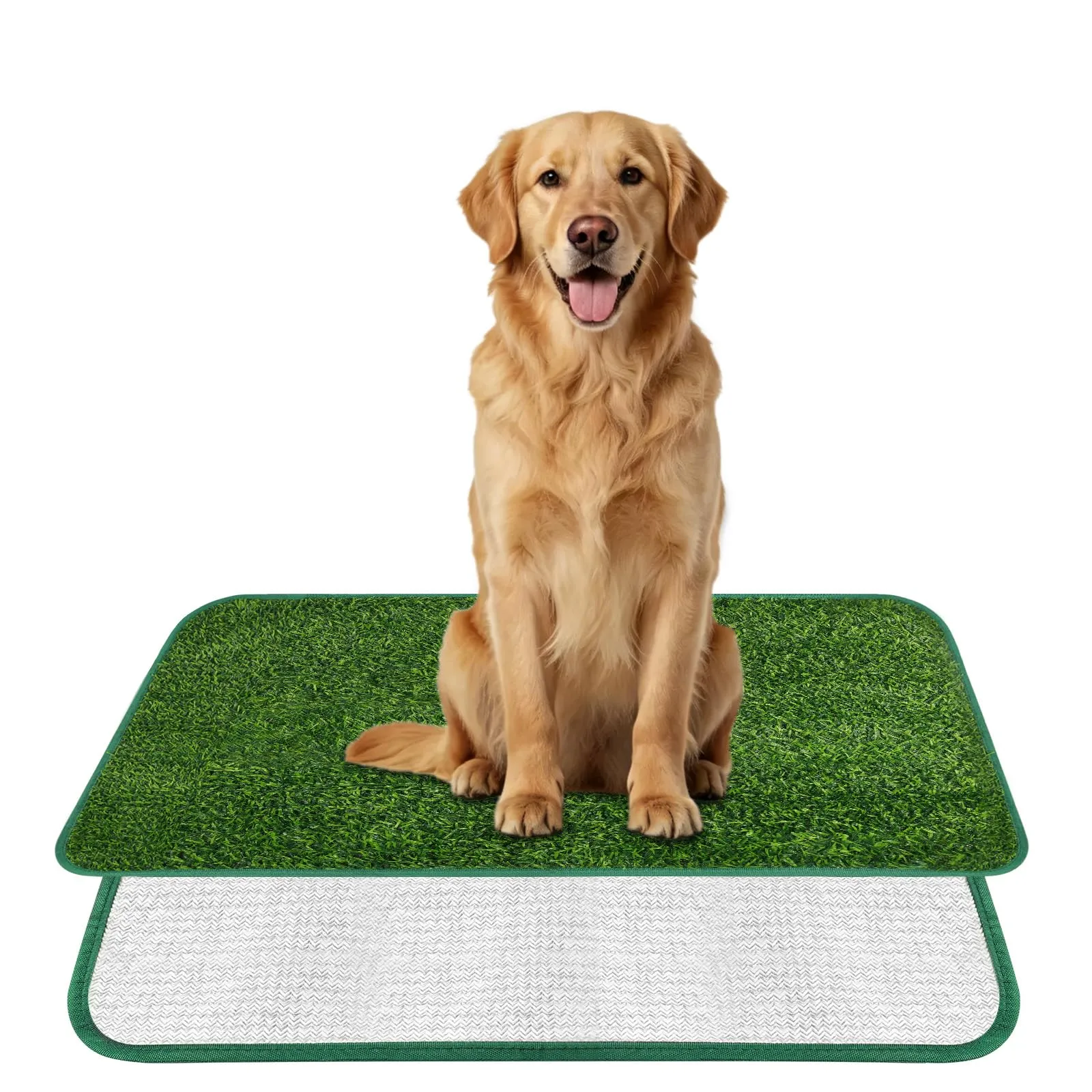 AUYAO Lettiera per Cani, Dog Toilette per Cani con Erba Artificiale, 80 x 100 cm, Toilette Tappeto Erboso Lavabile per Training Cucciolo per Interni ed Esterni, Verde - immagine 1