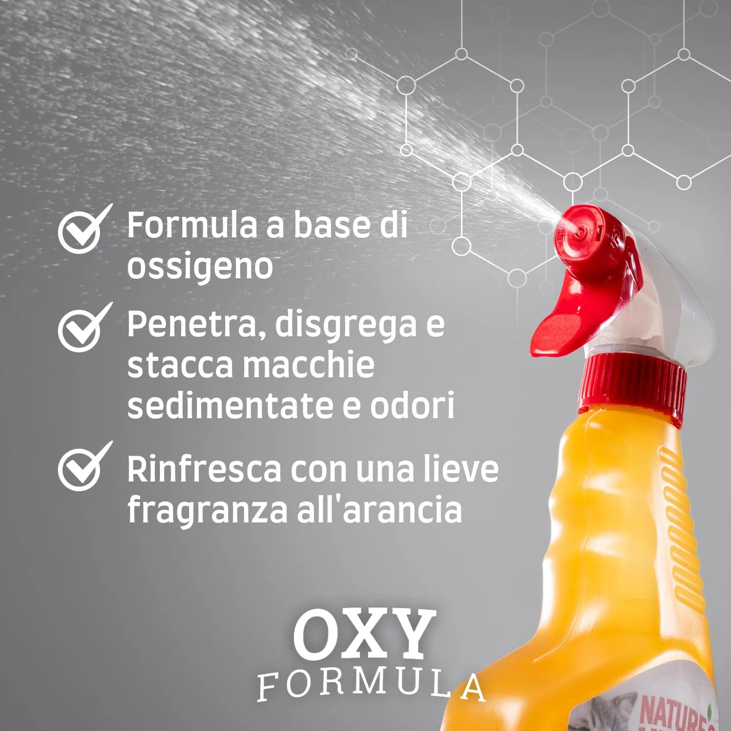 Nature´s Miracle Set-In Stain Remover per cani e gatti - 709 ml - immagine 4