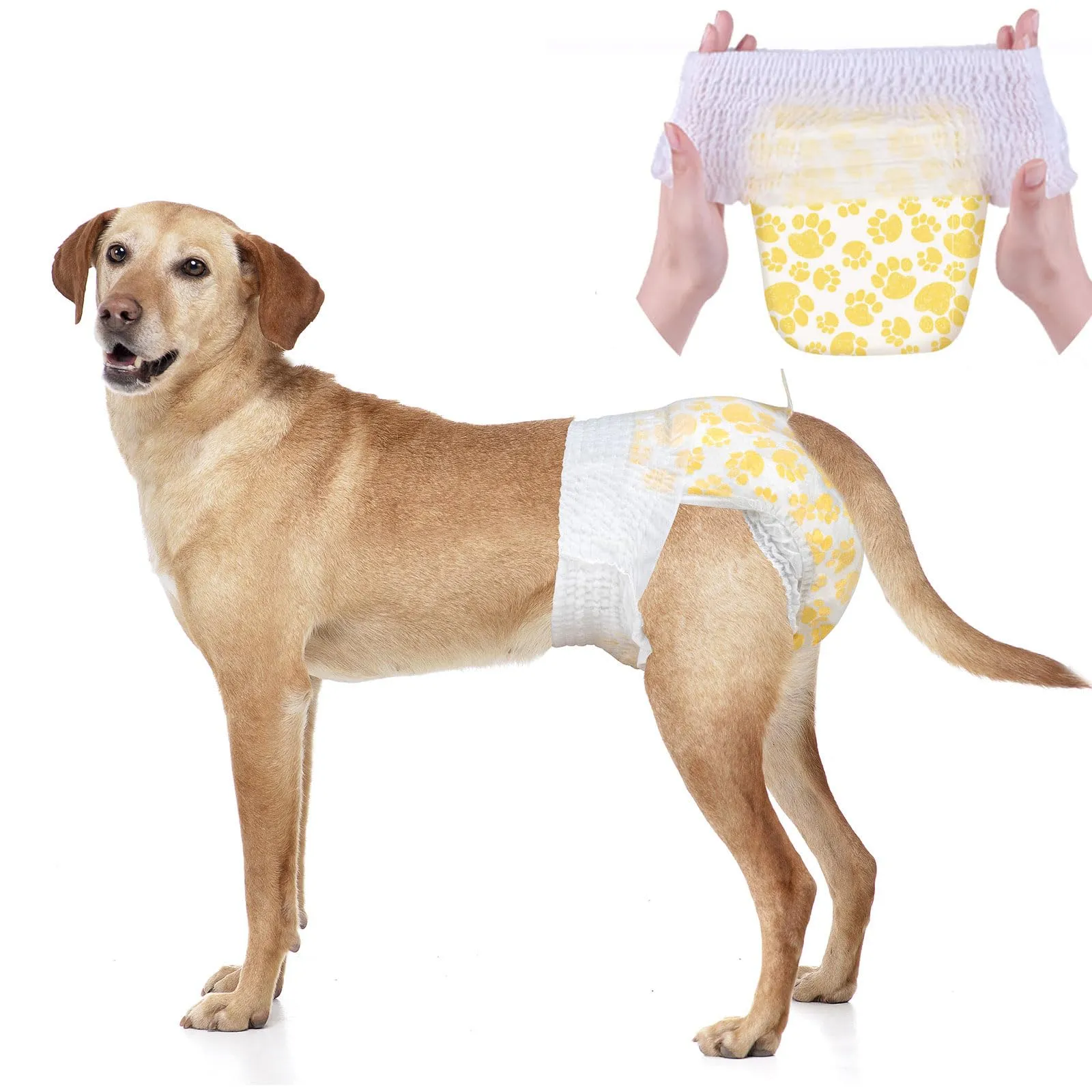 Dono Pannolini per Cane Femmina Taglia Grande con Vita Elastica, Pannolini Monouso Pull Up a Fascia Completa per Cuccioli in Periodo di Calore, 360° a Prova di Perdite Super Assorbenti per Cani - immagine 1