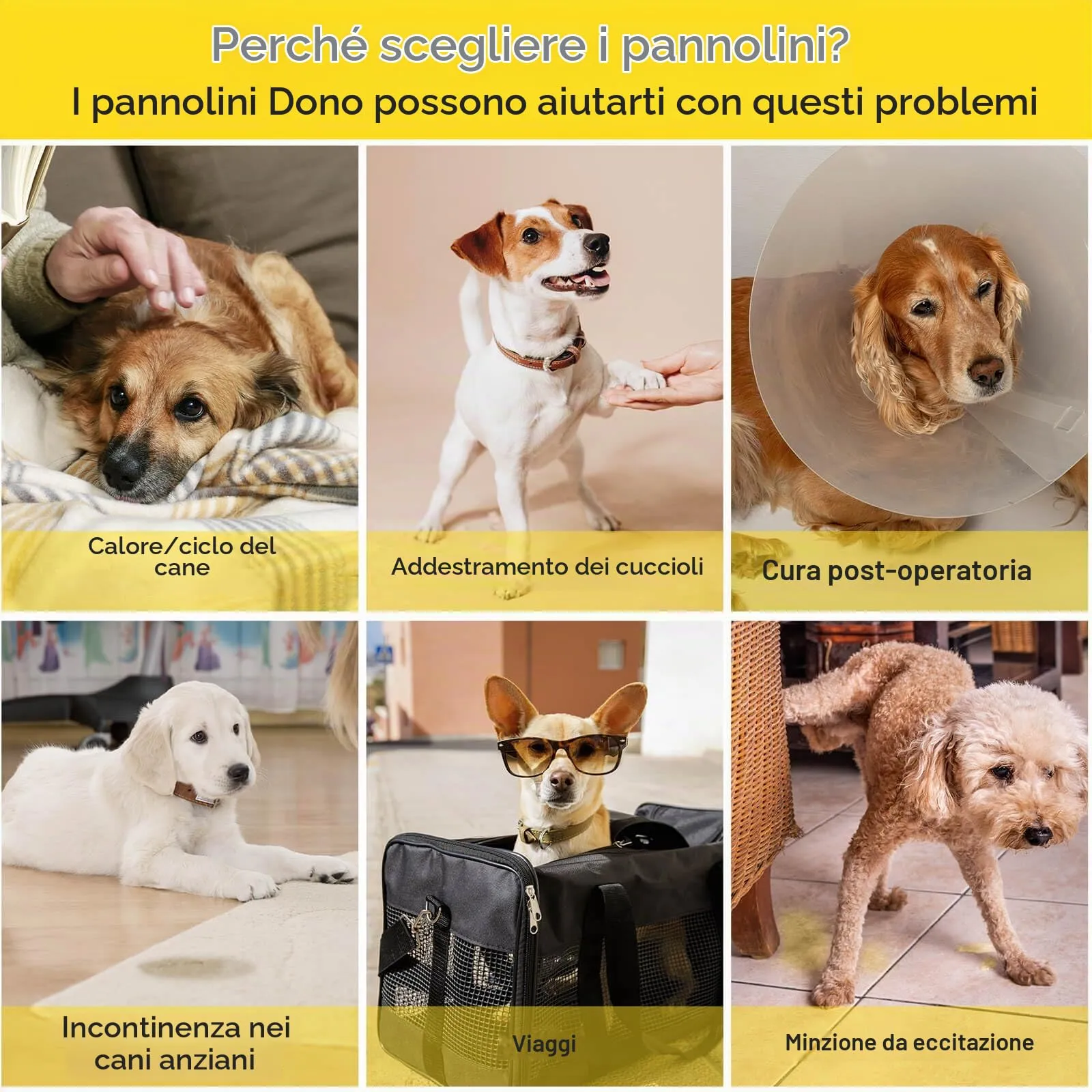 Dono - Pannolini per Cani Femmina per Cani Grandi con Vita Elastica, Pannolini Monouso Pull Up a Fasciatura Completa per Cuccioli in Calo, 360° a Prova di Perdite Super Assorbenti per Cani Piccoli - immagine 7