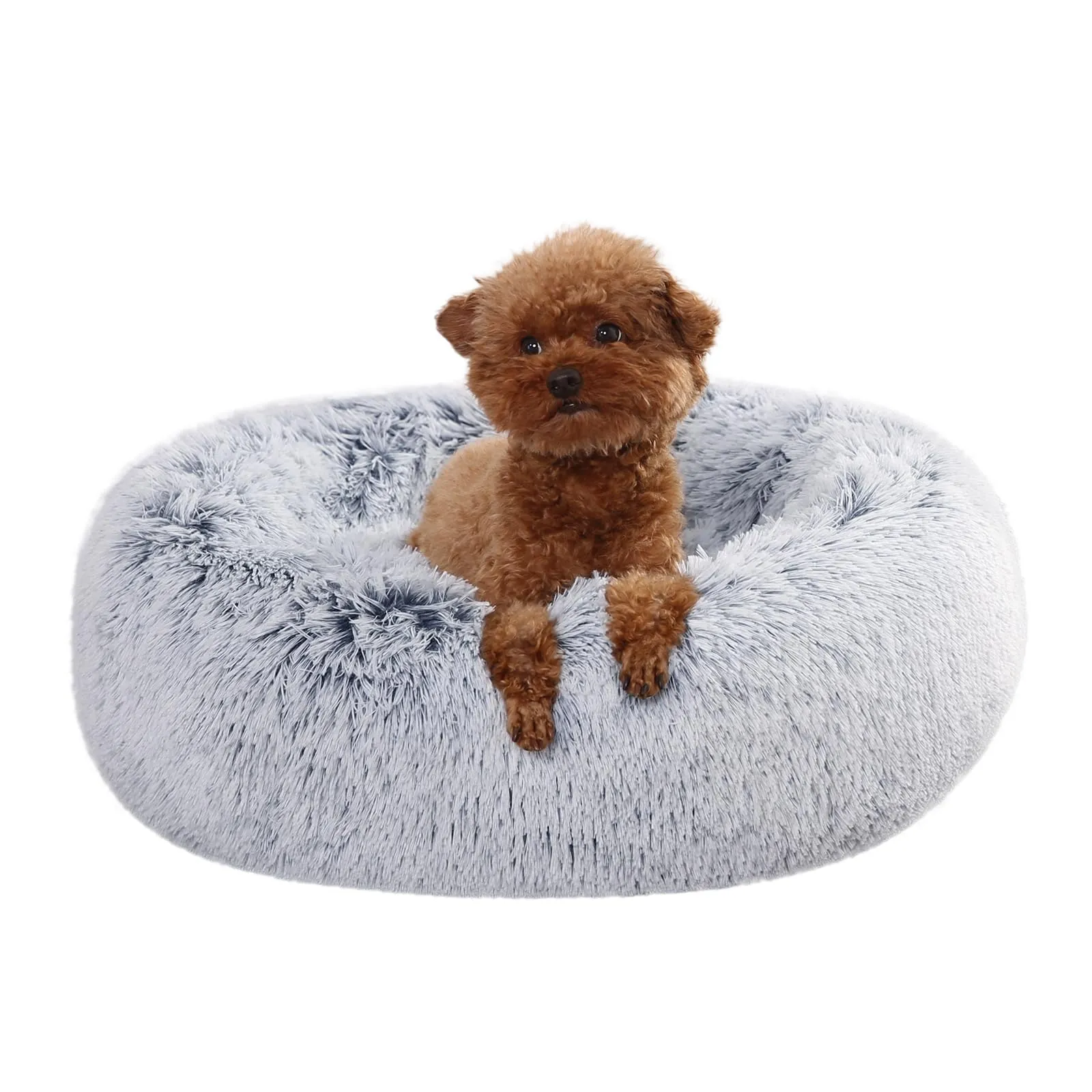 Amazon Basics Morbido Letto per animali per Cane, Lavabile in lavatrice, 59 cm, grigio - immagine 5