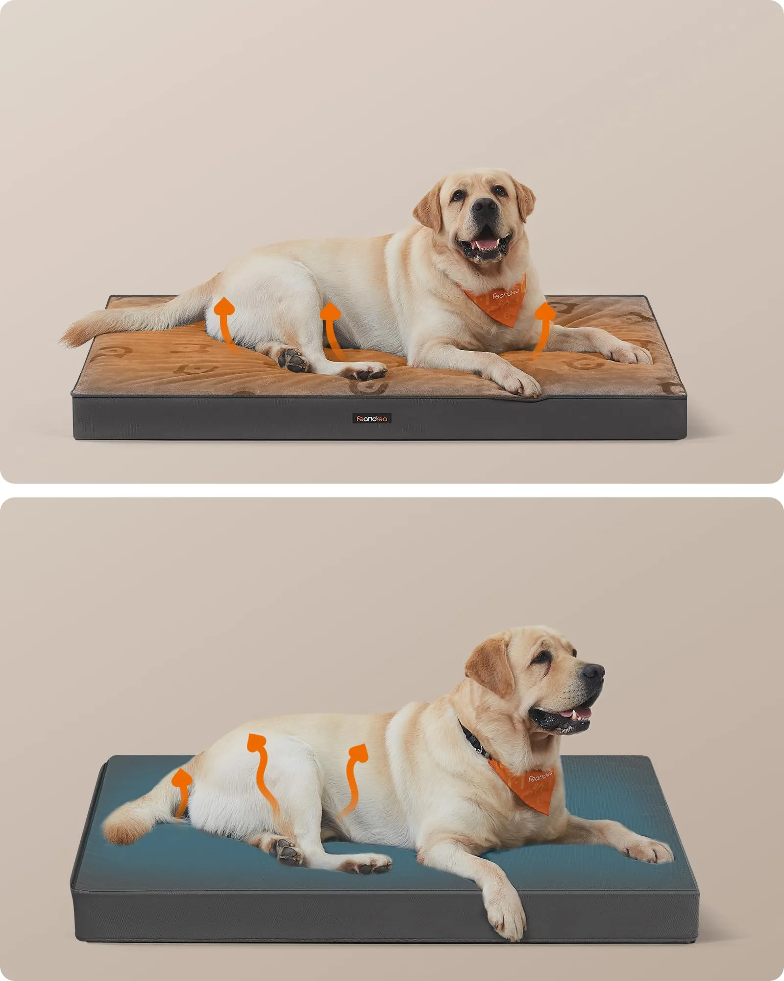 Feandrea Cuccia per Cani, Impermeabile, Sfoderabile, 120 x 74 x 10 cm - immagine 3