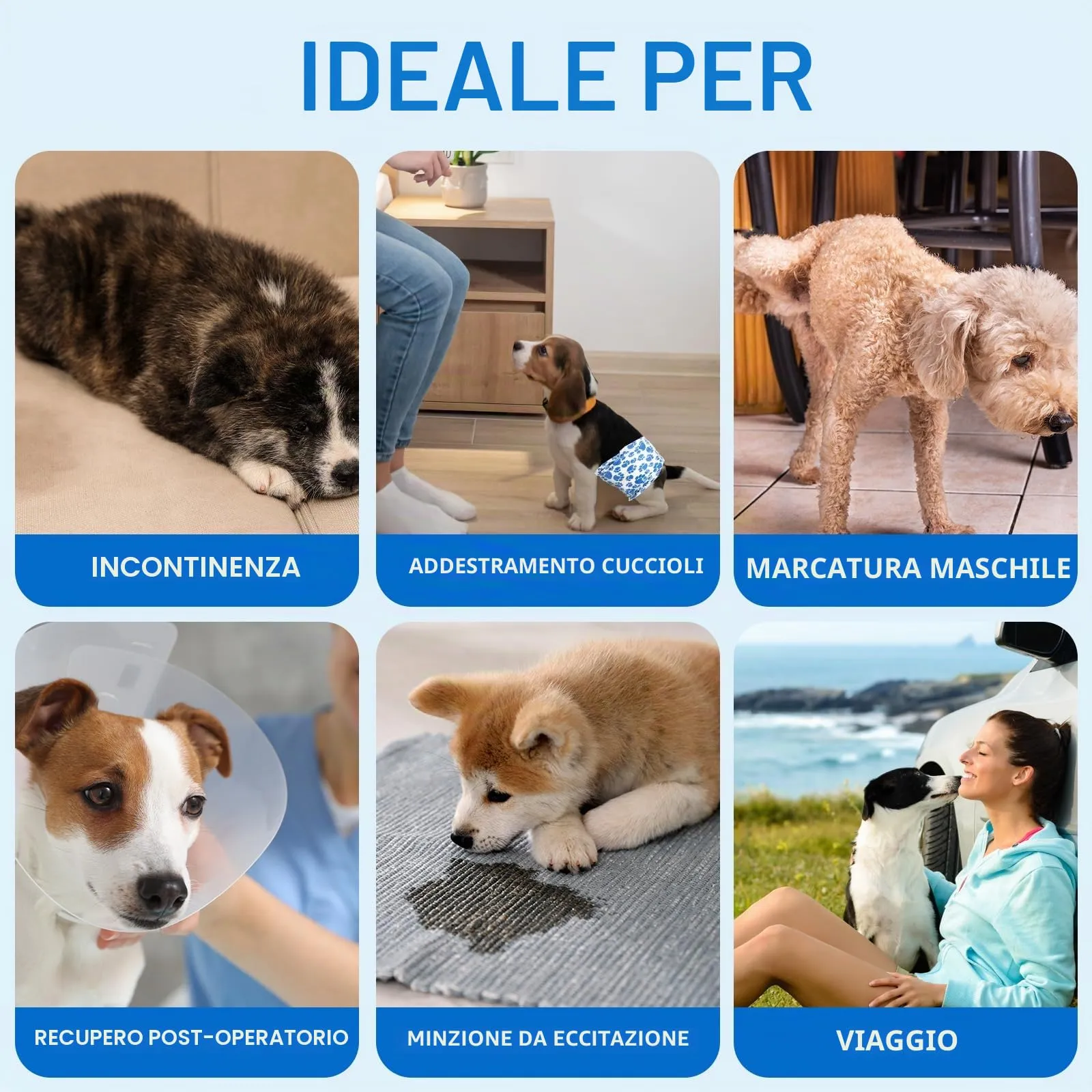 Dono Pannolini Cani Maschi, 30 Pezzi, Pannolini per Cani Maschi per Incontinenza, Indicatore di Bagnatura, Super Assorbenti, a Prova di Perdite, Minzione Eccitante, Calore,XS,S,M,L - immagine 7
