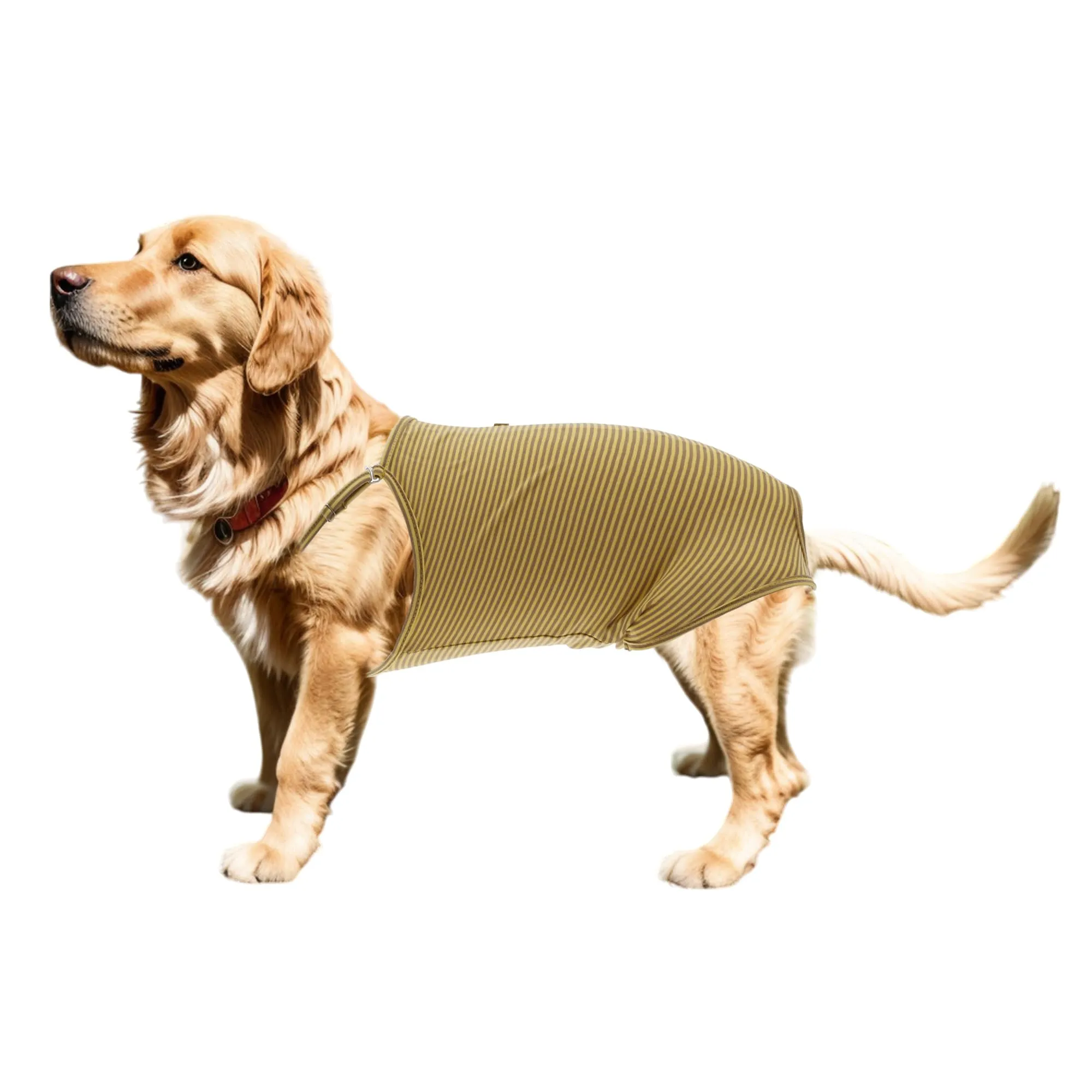 CAPASTEC Pannolini per Cani Lavabili E Riutilizzabili Giallo Marrone M - immagine 1