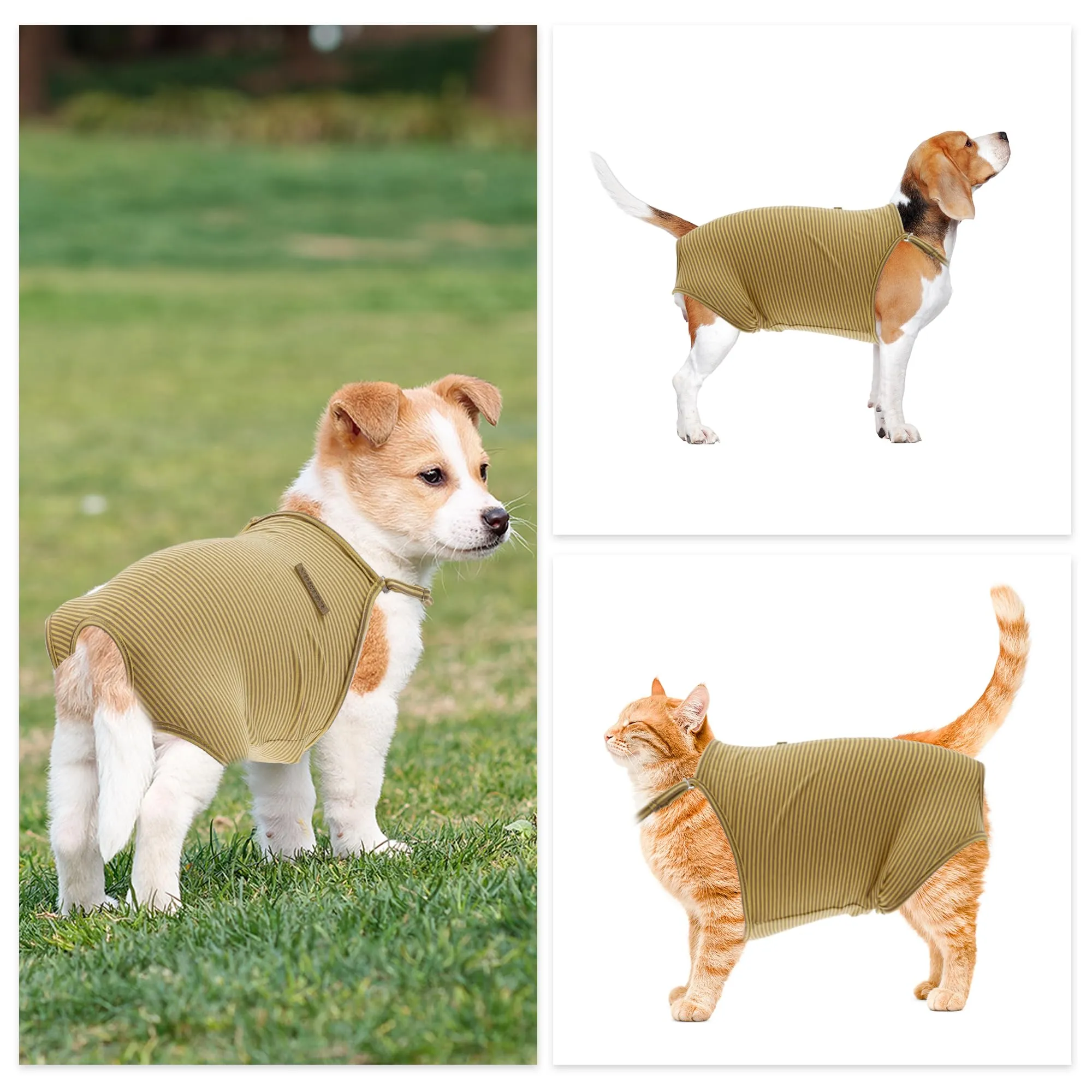 CAPASTEC Pannolini per Cani Lavabili E Riutilizzabili Giallo Marrone M - immagine 5
