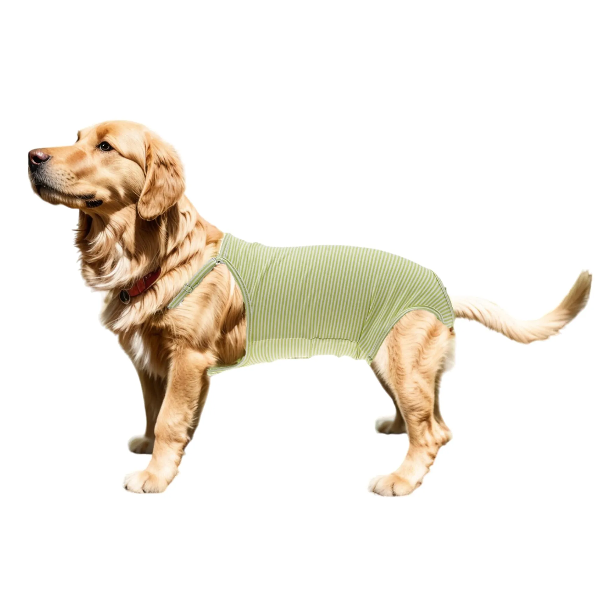 CAPASTEC Pannolini per Cani Lavabili E Riutilizzabili Verde M - immagine 1