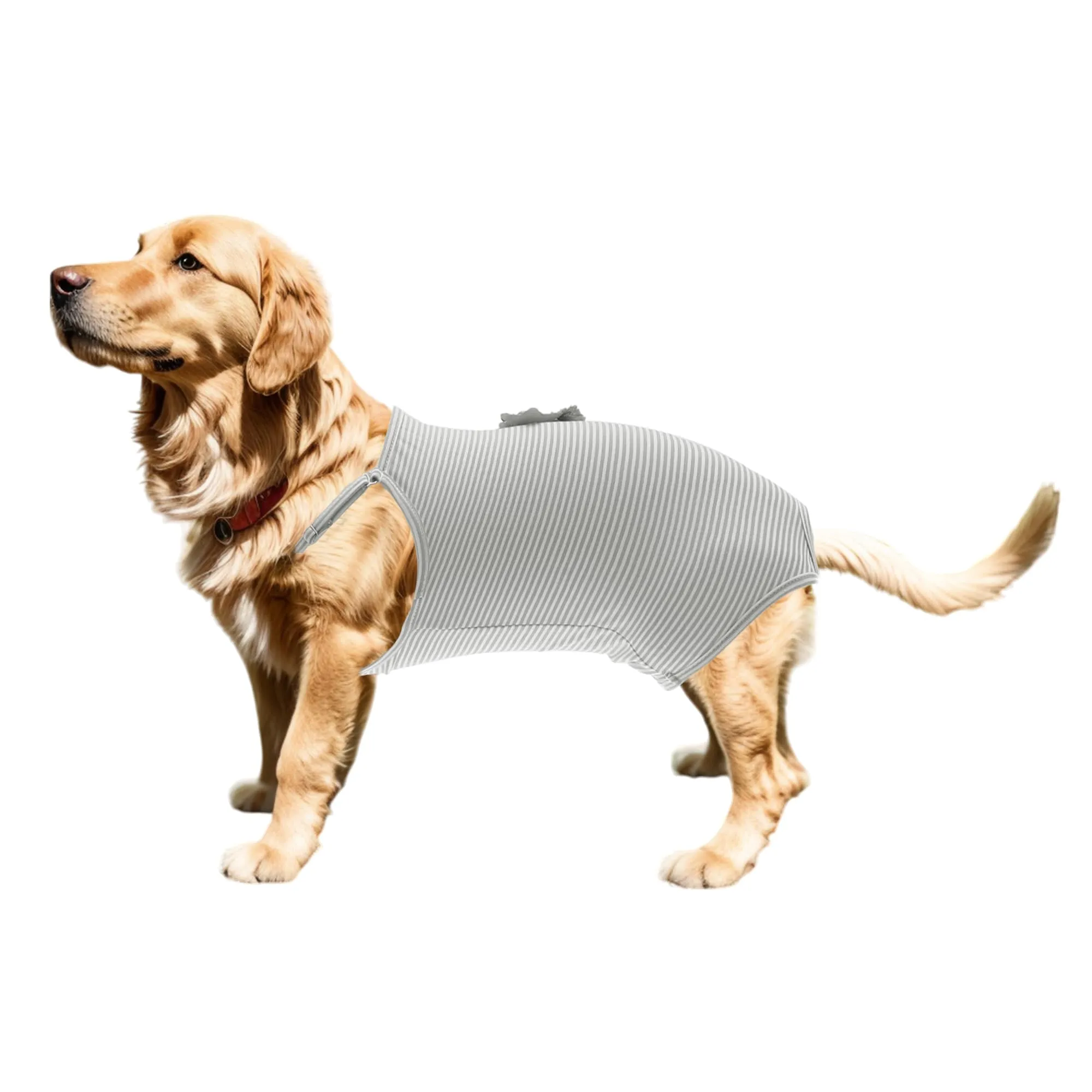 CAPASTEC Pannolini per Cani Lavabili E Riutilizzabili 1Pc XL per Gatti - immagine 1
