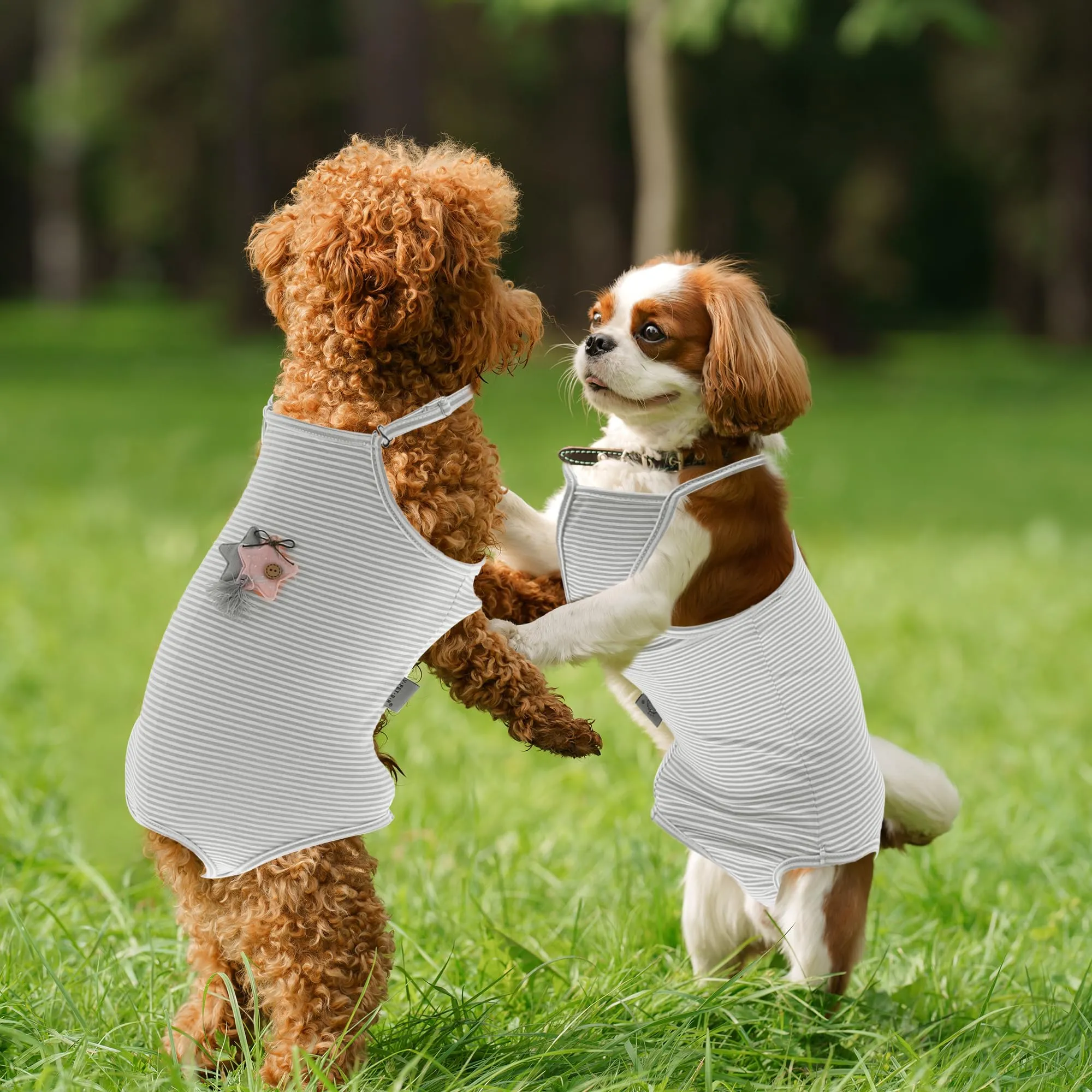 CAPASTEC Pannolini per Cani Lavabili E Riutilizzabili 1Pc XL per Gatti - immagine 4