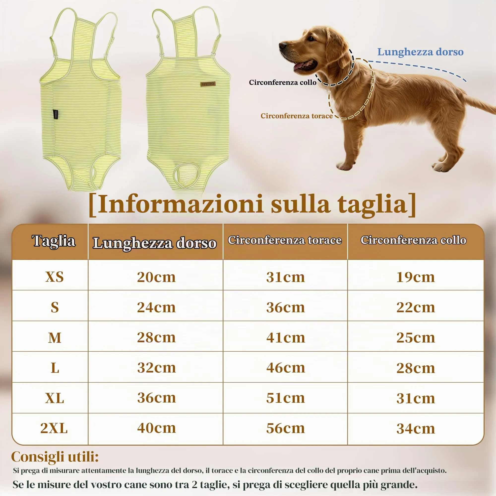 CAPASTEC Pannolini per Cani Lavabili E Riutilizzabili Verde S - immagine 2