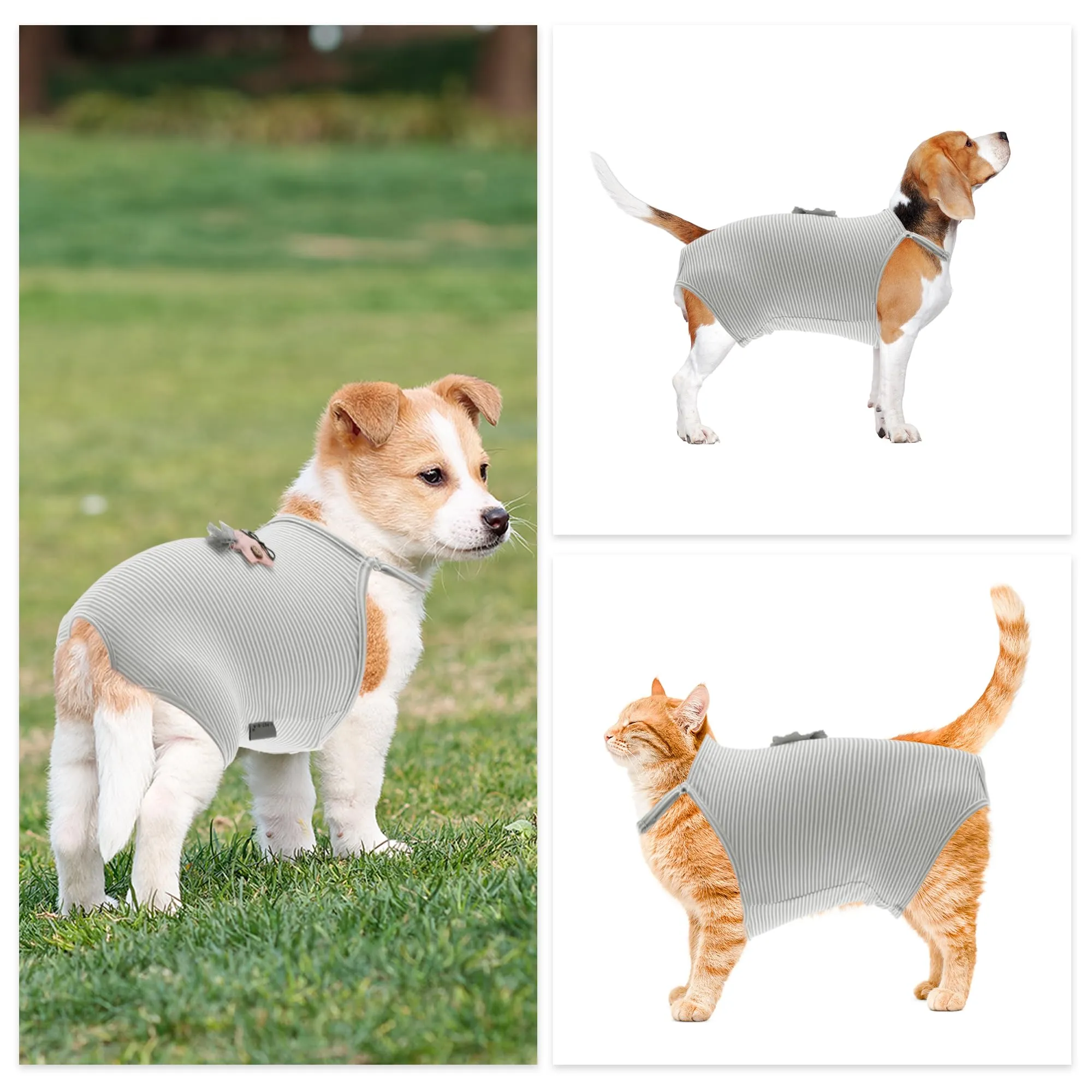 CAPASTEC Pannolini Riutilizzabili per Cani Grigio con Cinturino Regolabile - immagine 5
