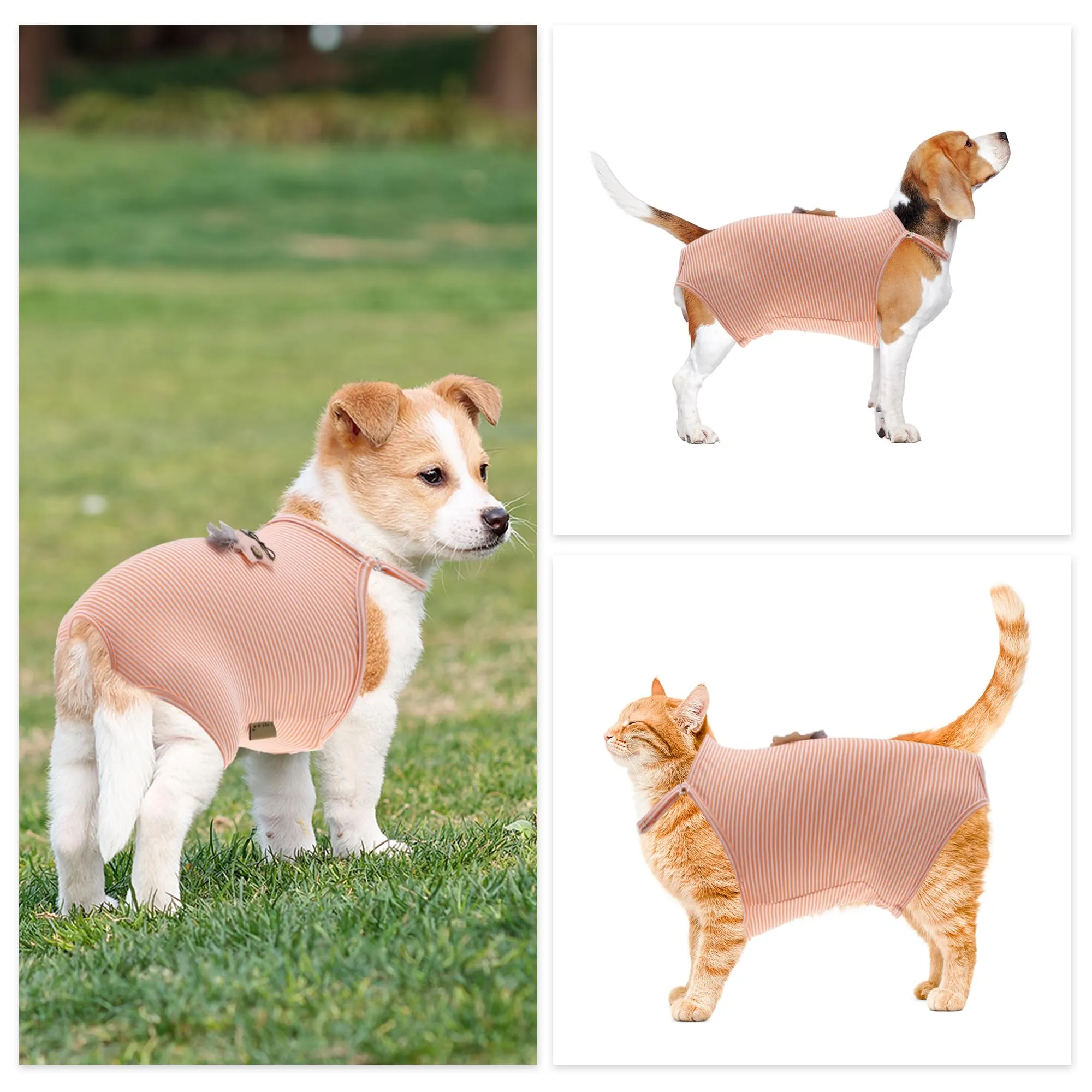CAPASTEC Pannolini Lavabili Riutilizzabili per Cani Piccoli E Medi 1Pc - immagine 5
