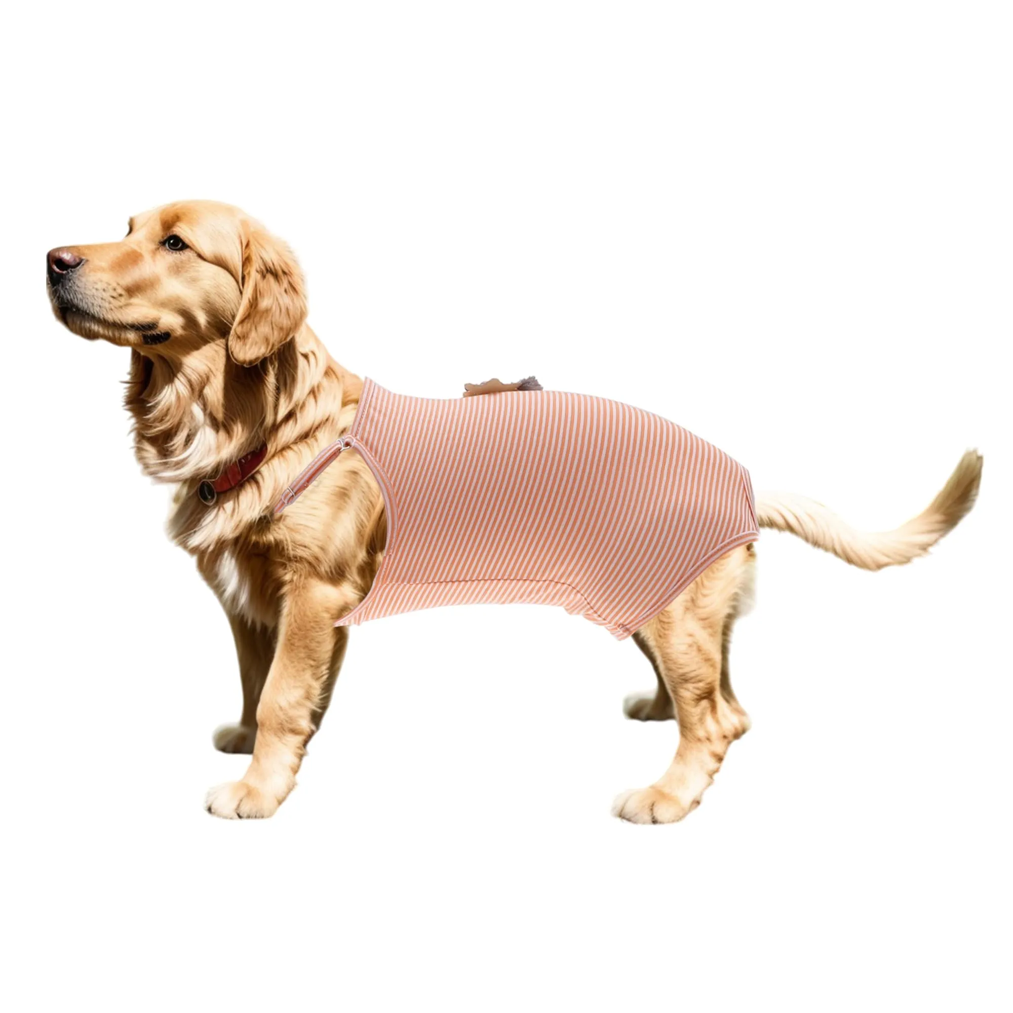CAPASTEC Pannolini Lavabili Riutilizzabili per Cani E Gatti - immagine 1