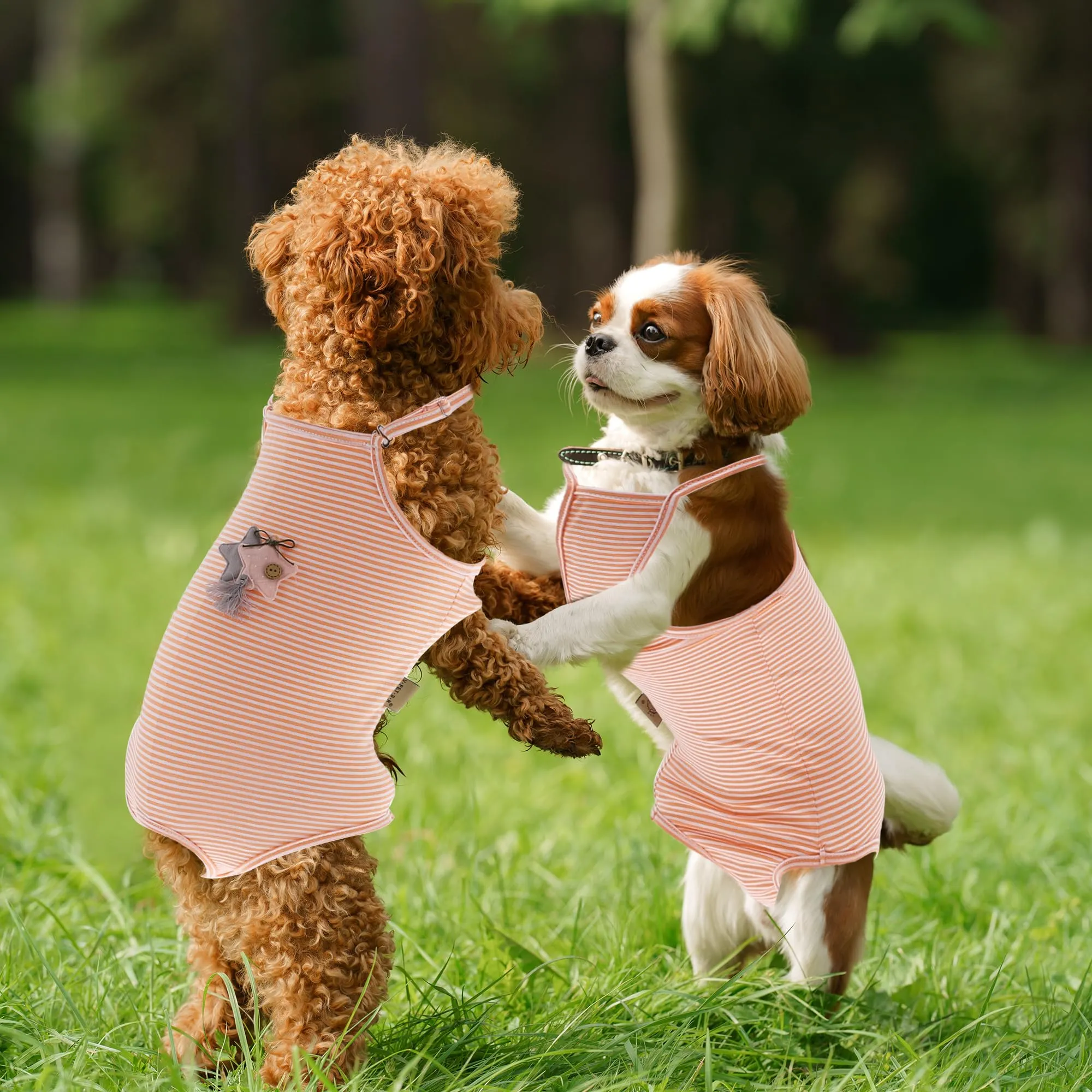 CAPASTEC Pannolini per Cani E Gatti Lavabili E Riutilizzabili M - immagine 4