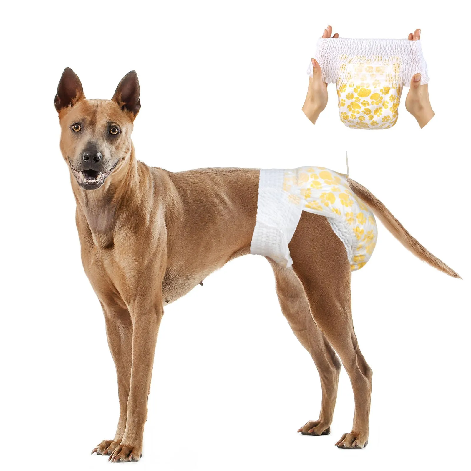 Dono Pannolini per cani femmina con vita completamente avvolgente e elasticizzata, 16 pezzi, pannolini per cani, super assorbenti, a tenuta stagna, pannolini per cani per caldo, periodo, incontinenza - immagine 1