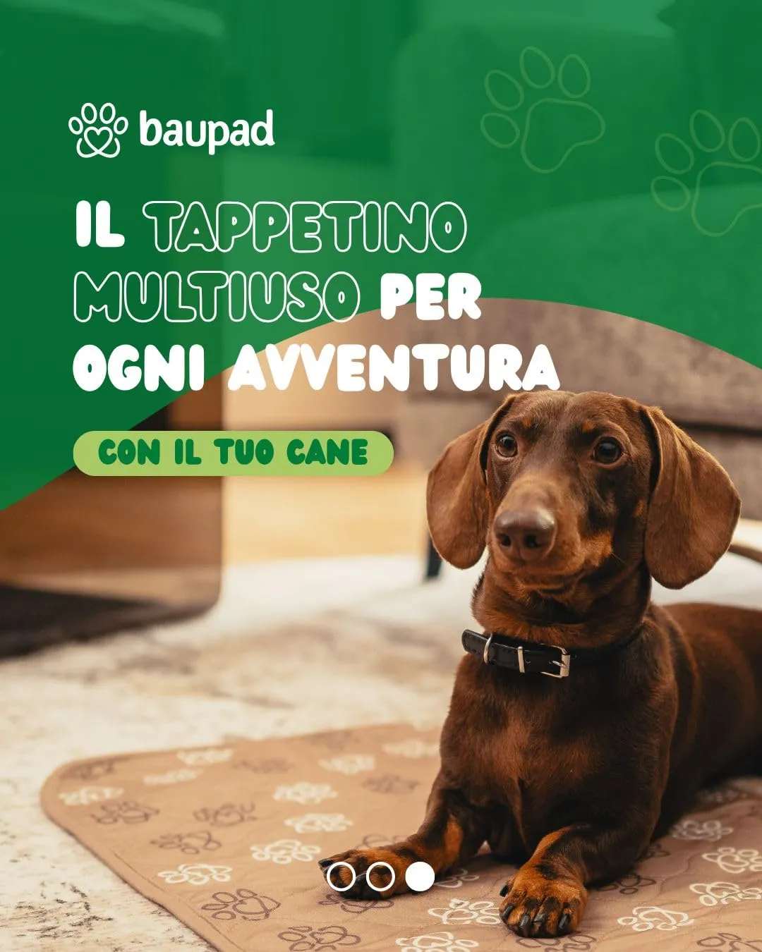 Baupad - tappetino lavabile per cani - traversa impermeabile e assorbente con tecnologia 4 strati per casa auto e viaggio. Traversine lavabili in lavatrice fino a 300 lavaggi. - immagine 3