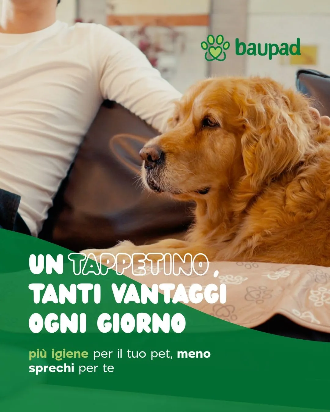Baupad - tappetino lavabile per cani - traversa impermeabile e assorbente con tecnologia 4 strati per casa auto e viaggio. Traversine lavabili in lavatrice fino a 300 lavaggi. - immagine 6