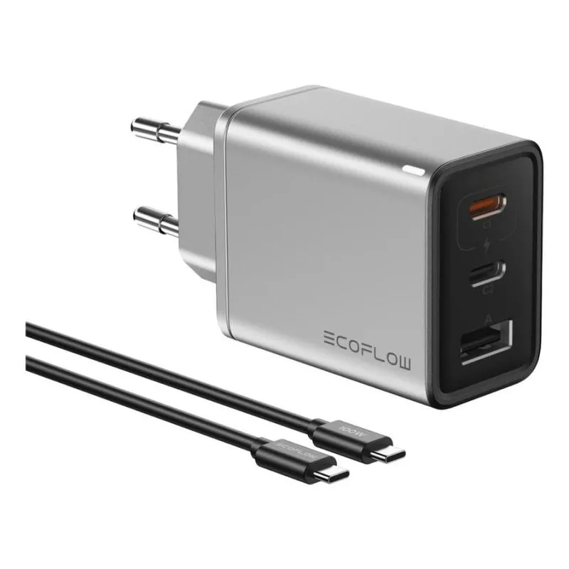 Caricatore EcoFlow RAPID 65W GaN Interno Argento Universale - immagine 1