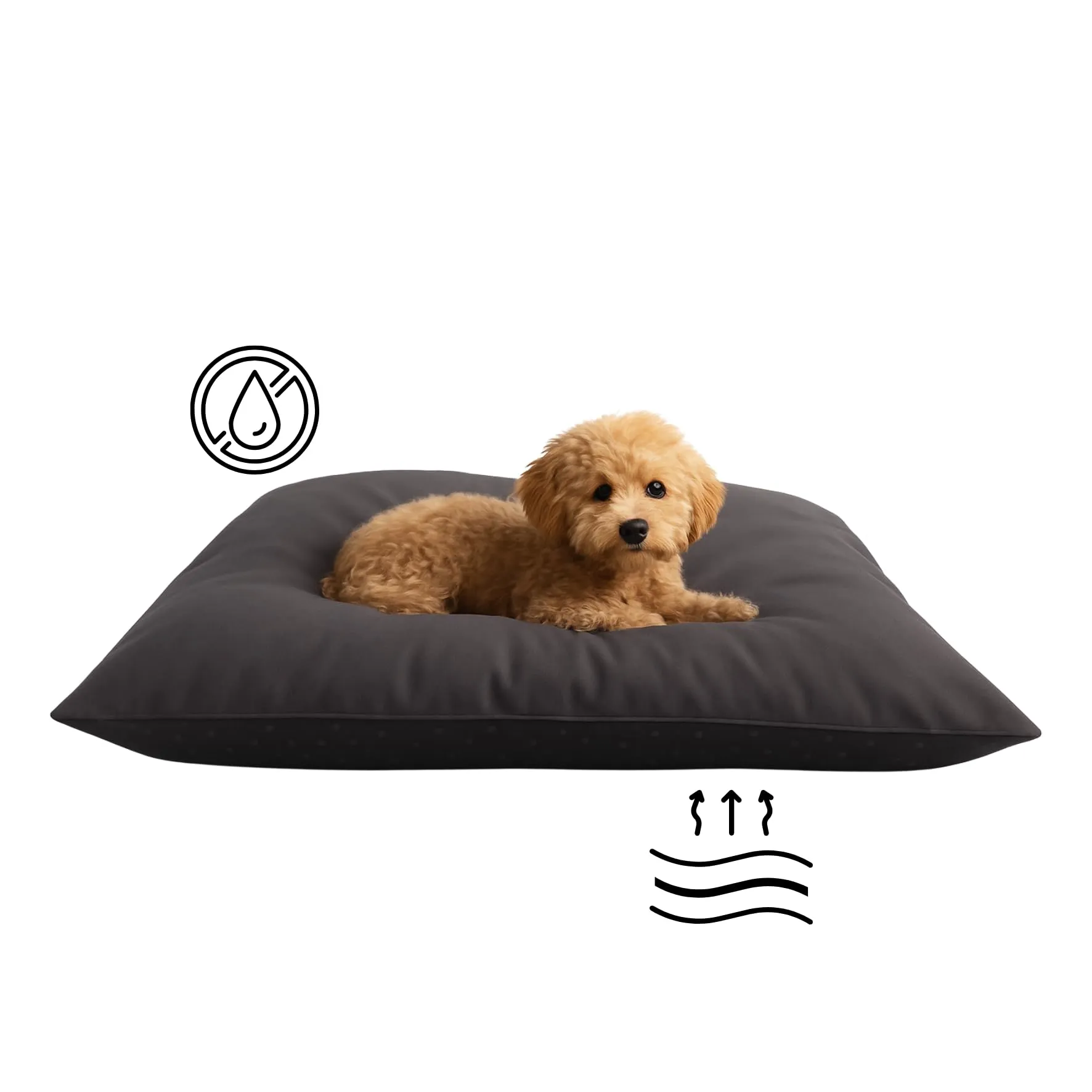 GM Cuscino per Cani e Gatti Taglia M 60x100 cm Morbido letto per animali Rivestimento in tessuto sfoderabile e lavabile Idrorepellente Antimacchia Antiscivolo - immagine 3