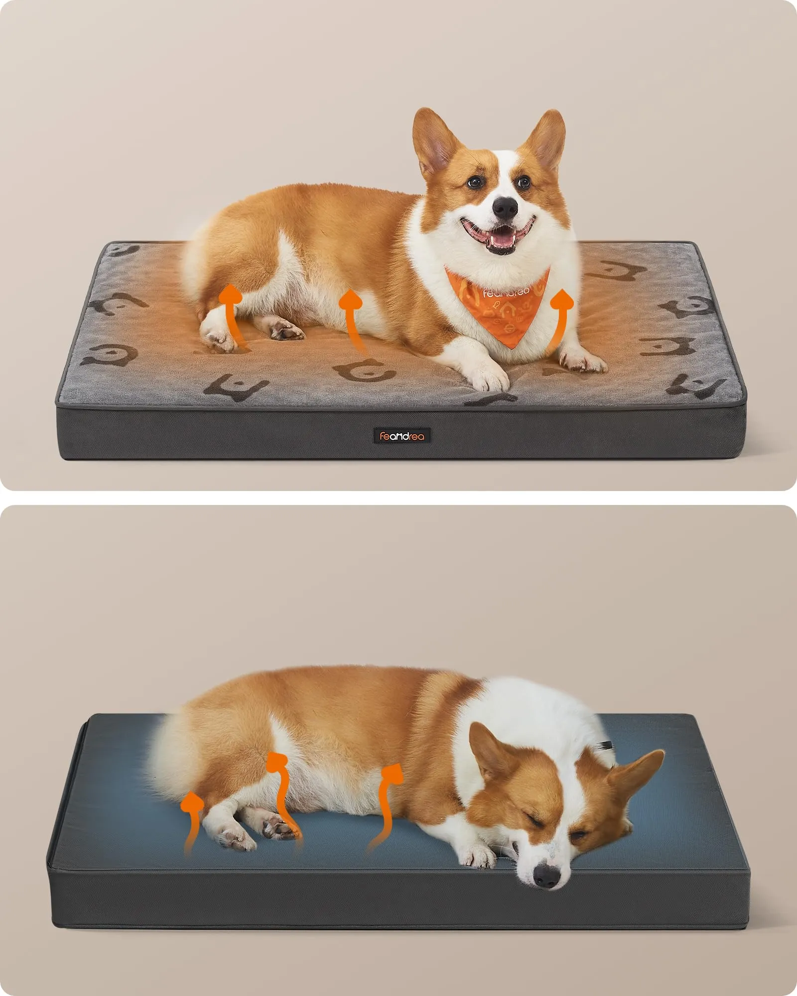 Feandrea Cuccia per Cani, Impermeabile, Sfoderabile, 91 x 68 x 8 cm - immagine 3