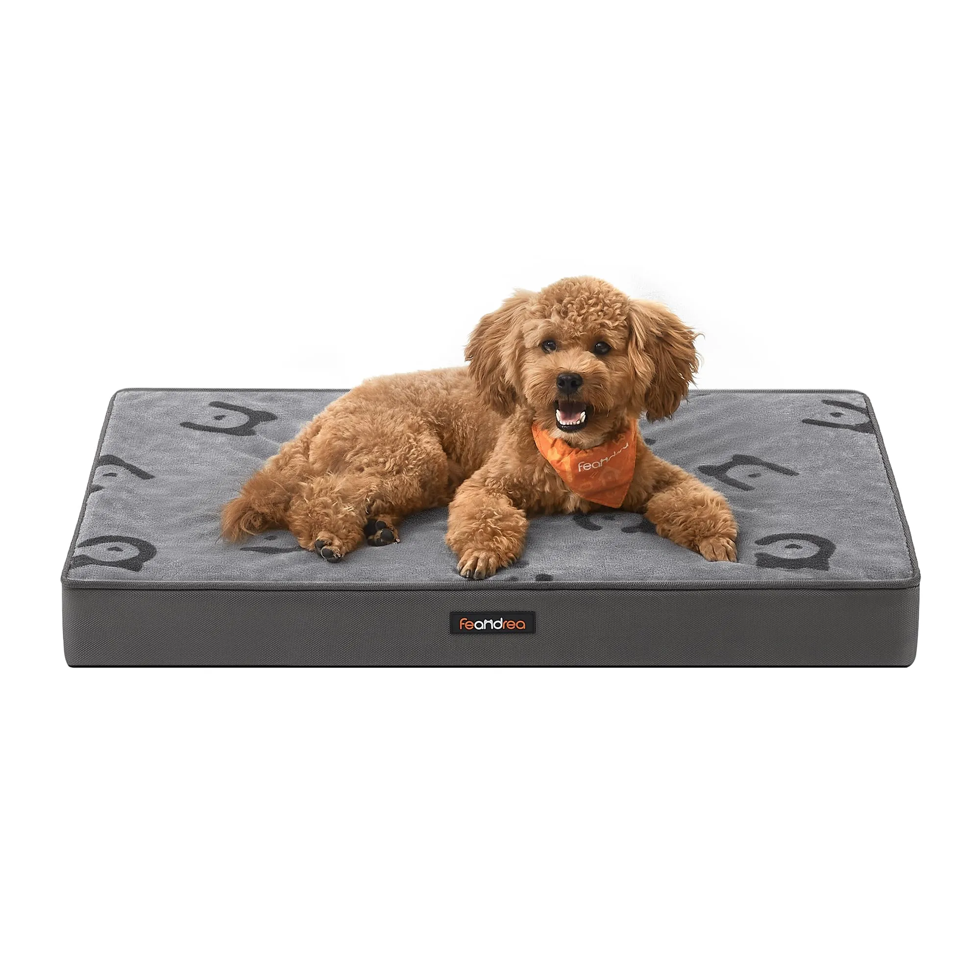 Feandrea Cuccia per Cani, Impermeabile, Sfoderabile, 76 x 51 x 8 cm - immagine 1