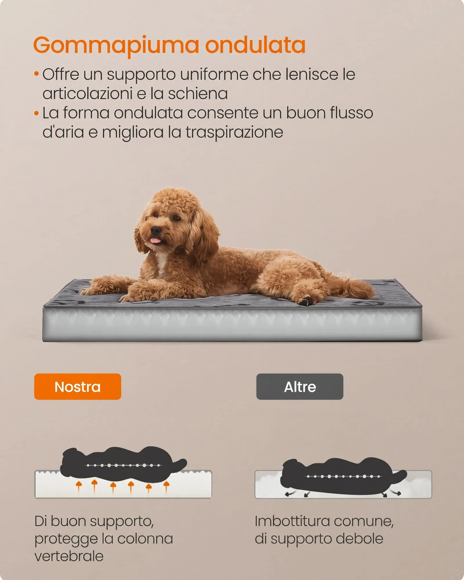 Feandrea Cuccia per Cani, Impermeabile, Sfoderabile, 76 x 51 x 8 cm - immagine 4