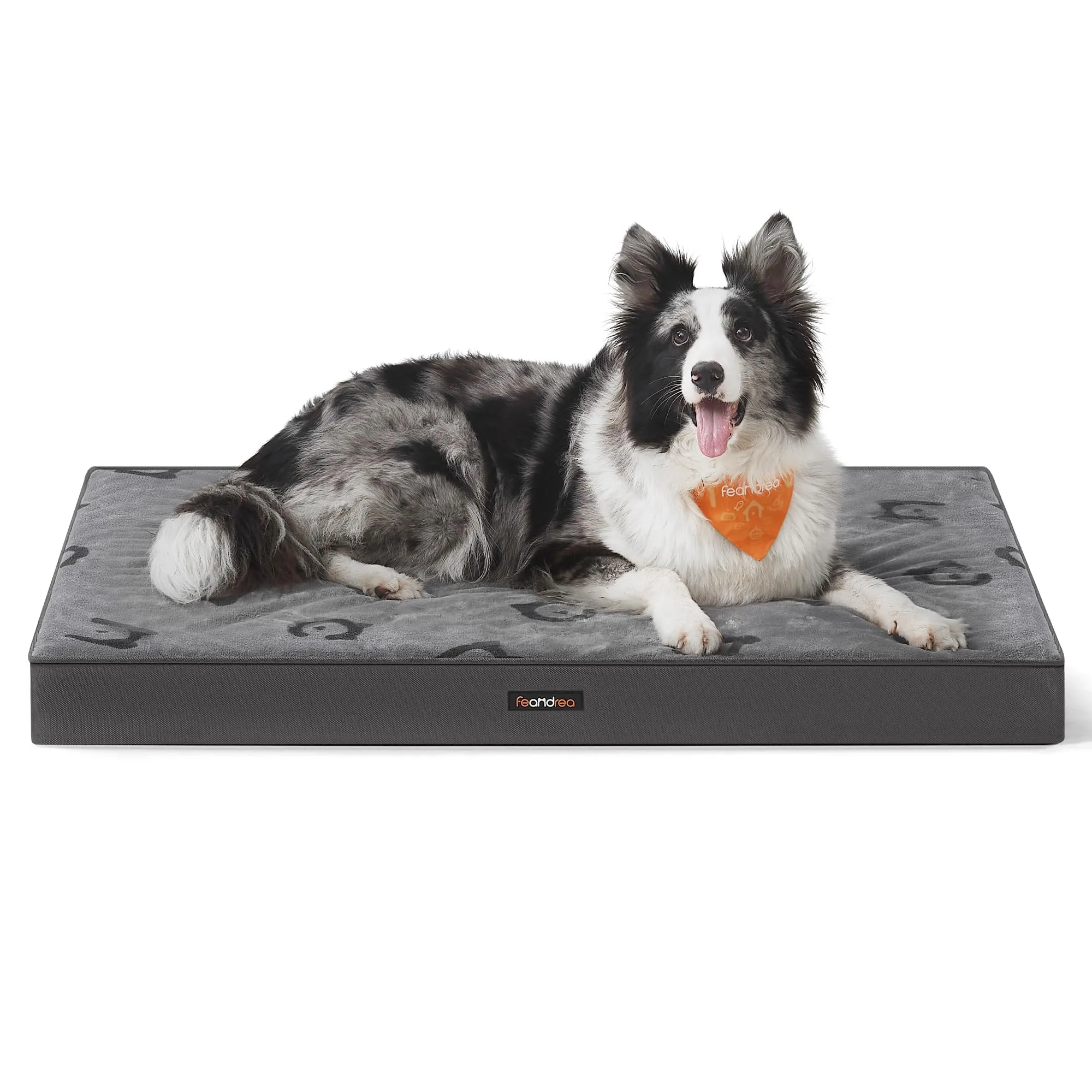 Feandrea Cuccia per Cani, Impermeabile, Sfoderabile, 105 x 73 x 10 cm - immagine 1