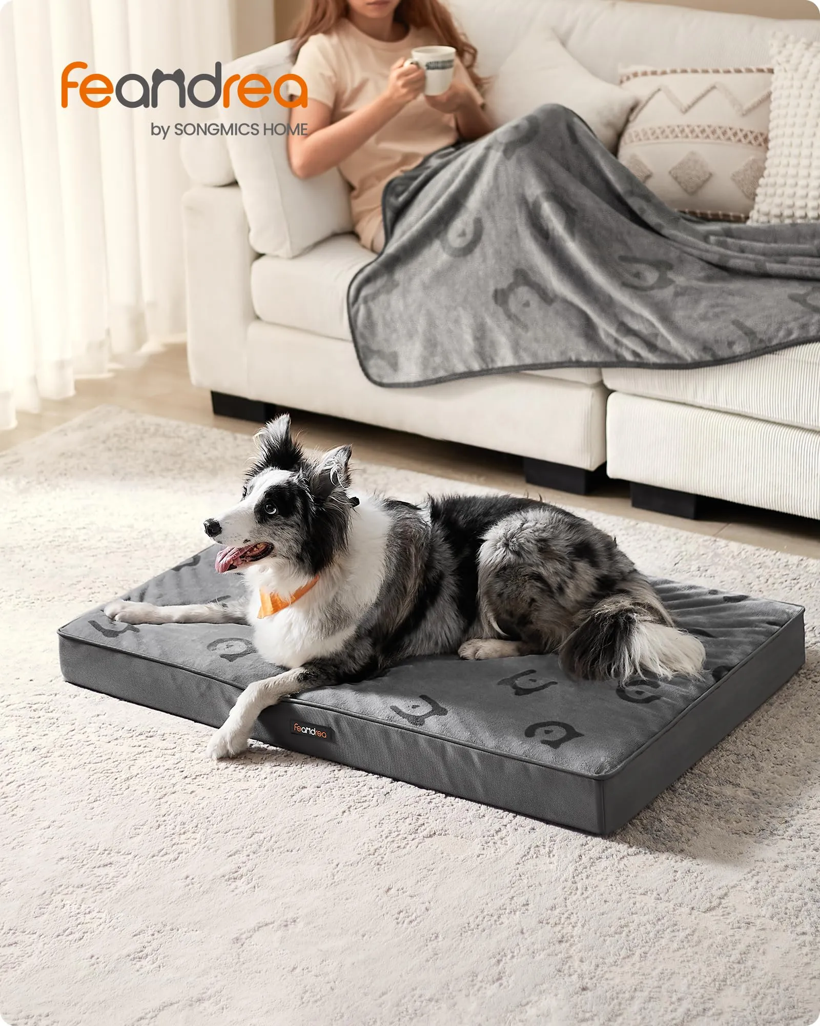 Feandrea Cuccia per Cani, Impermeabile, Sfoderabile, 105 x 73 x 10 cm - immagine 2
