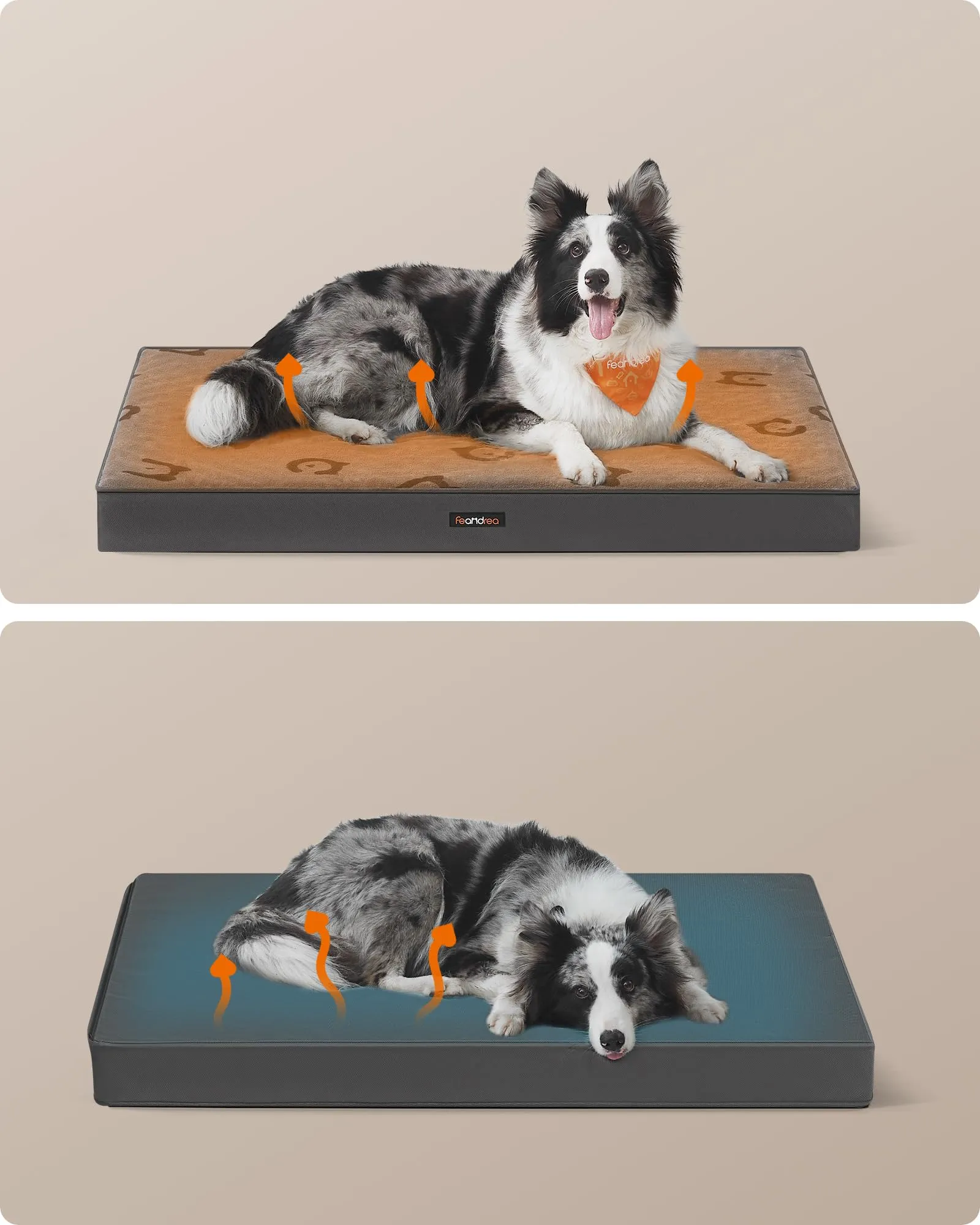 Feandrea Cuccia per Cani, Impermeabile, Sfoderabile, 105 x 73 x 10 cm - immagine 3