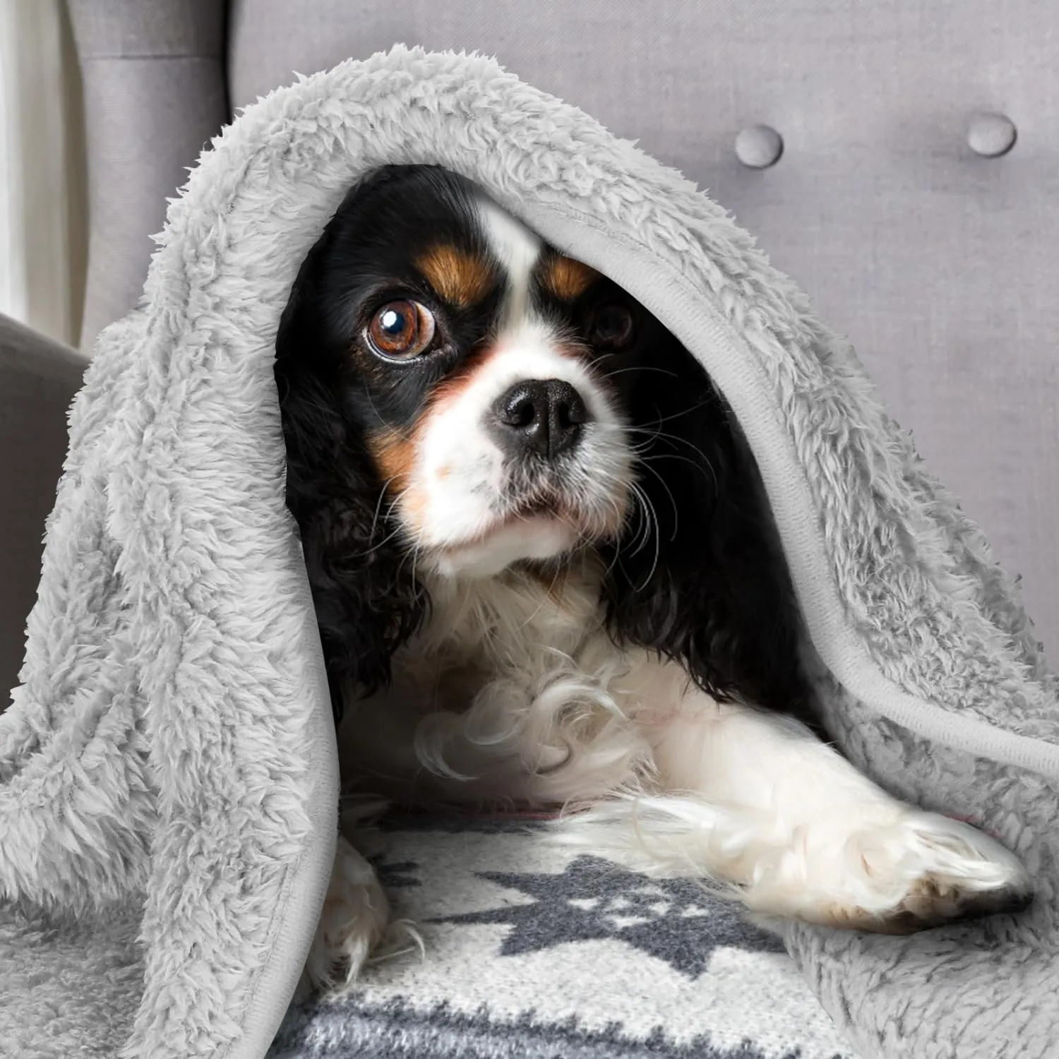 Nobleza Morbida coperta in Pile per cani e gatti. Confezione, color Grigio Chiaro, misure 160 * 120cm - immagine 6