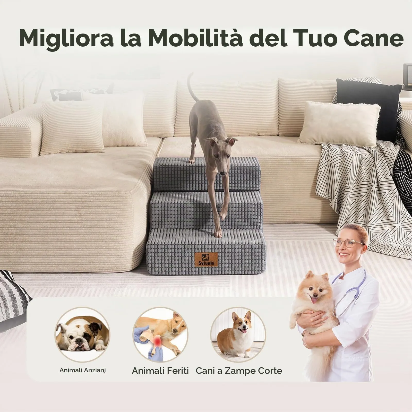 Scaletta per Animali Domestici per Letti Alti e Divani, Gradini per Cani per Salire sul Letto, 3 Gradini Pieghevoli per Cani di Taglia Grande/Media/Piccola e Gatti Anziani, in Schiuma Antiscivolo e - immagine 2