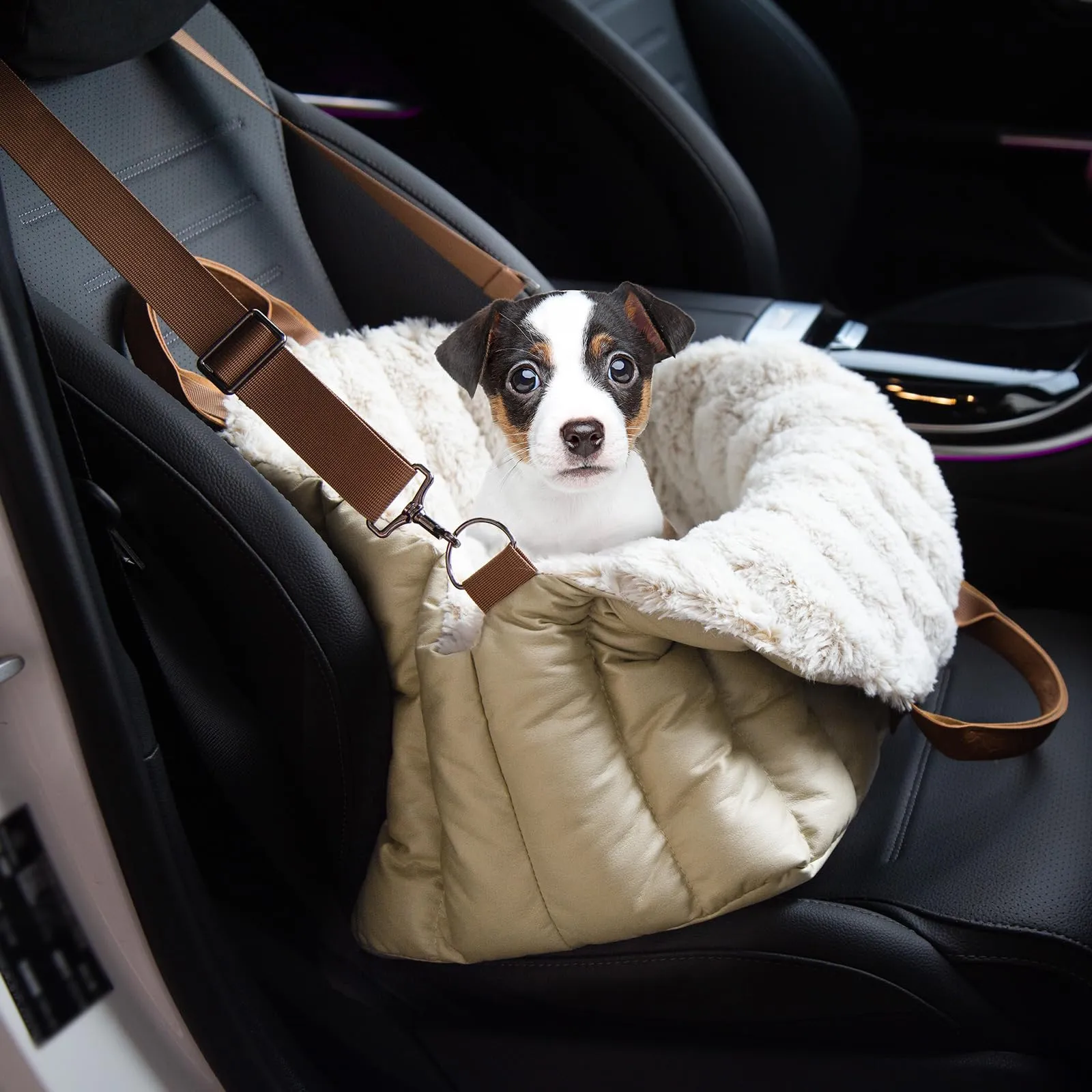 ClevaHome Borsa per Cani Piccoli, Seggiolino Auto per Cani e Cuccia, 3 in 1 - immagine 4