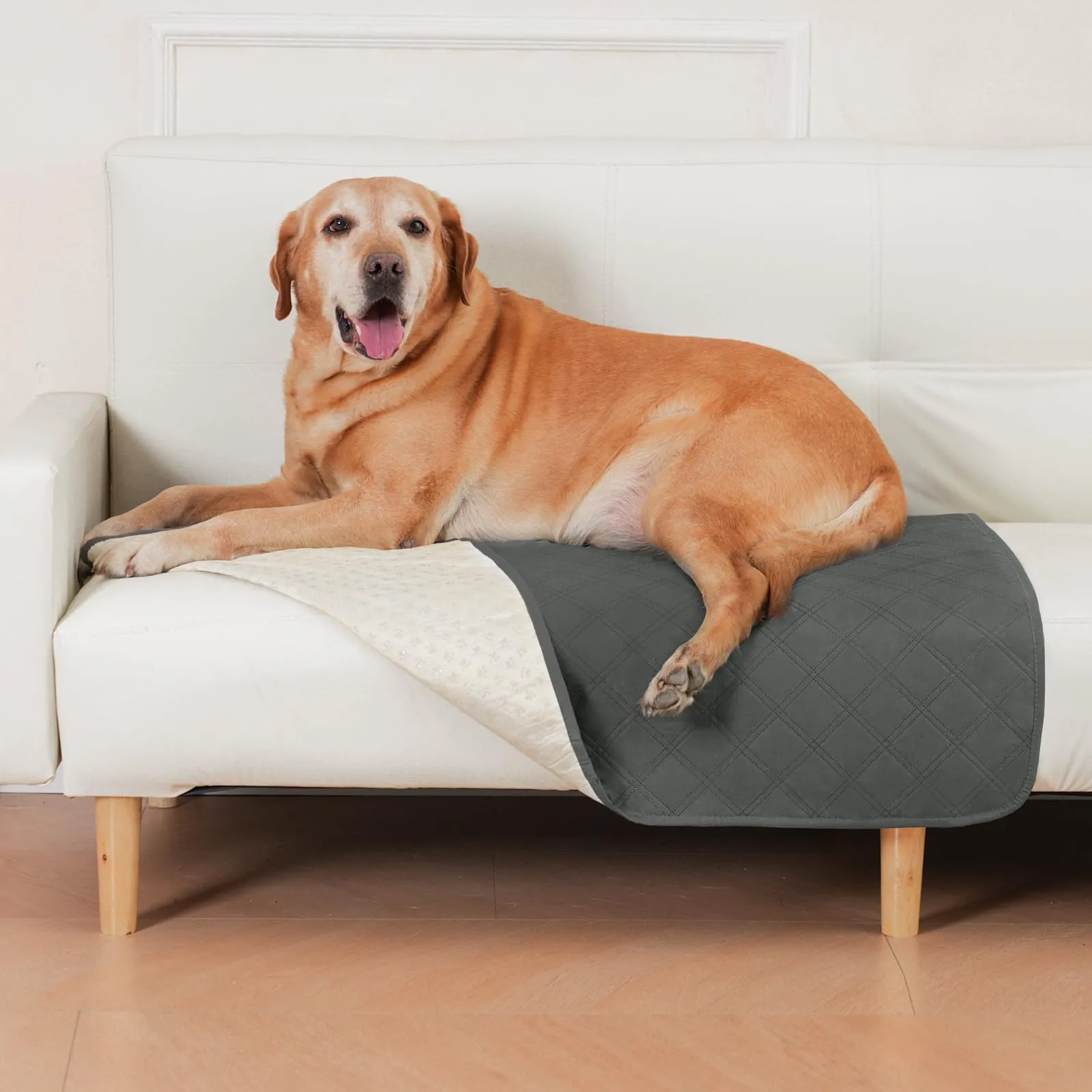 Coperta Impermeabile per Cani, Copridivano Antiscivolo 80 x 100 cm - immagine 1