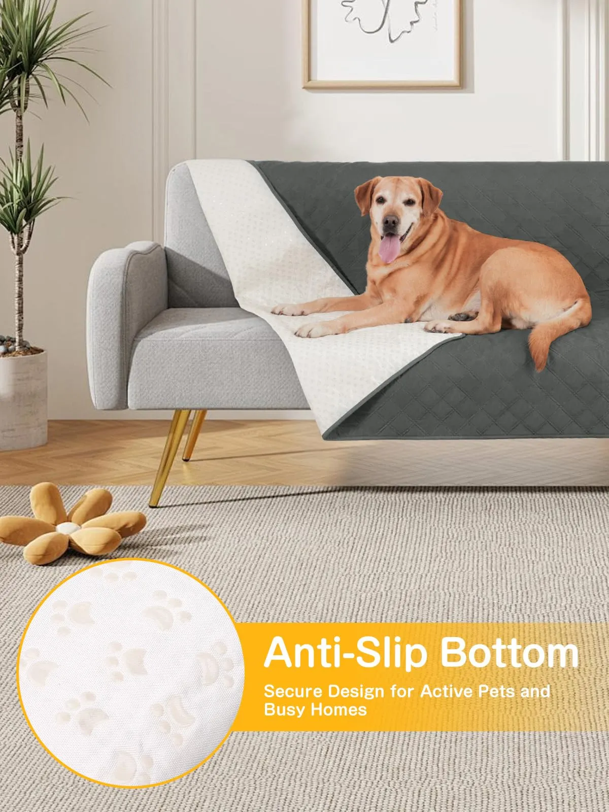 Coperta Impermeabile per Cani, Copridivano Antiscivolo 80 x 100 cm - immagine 4