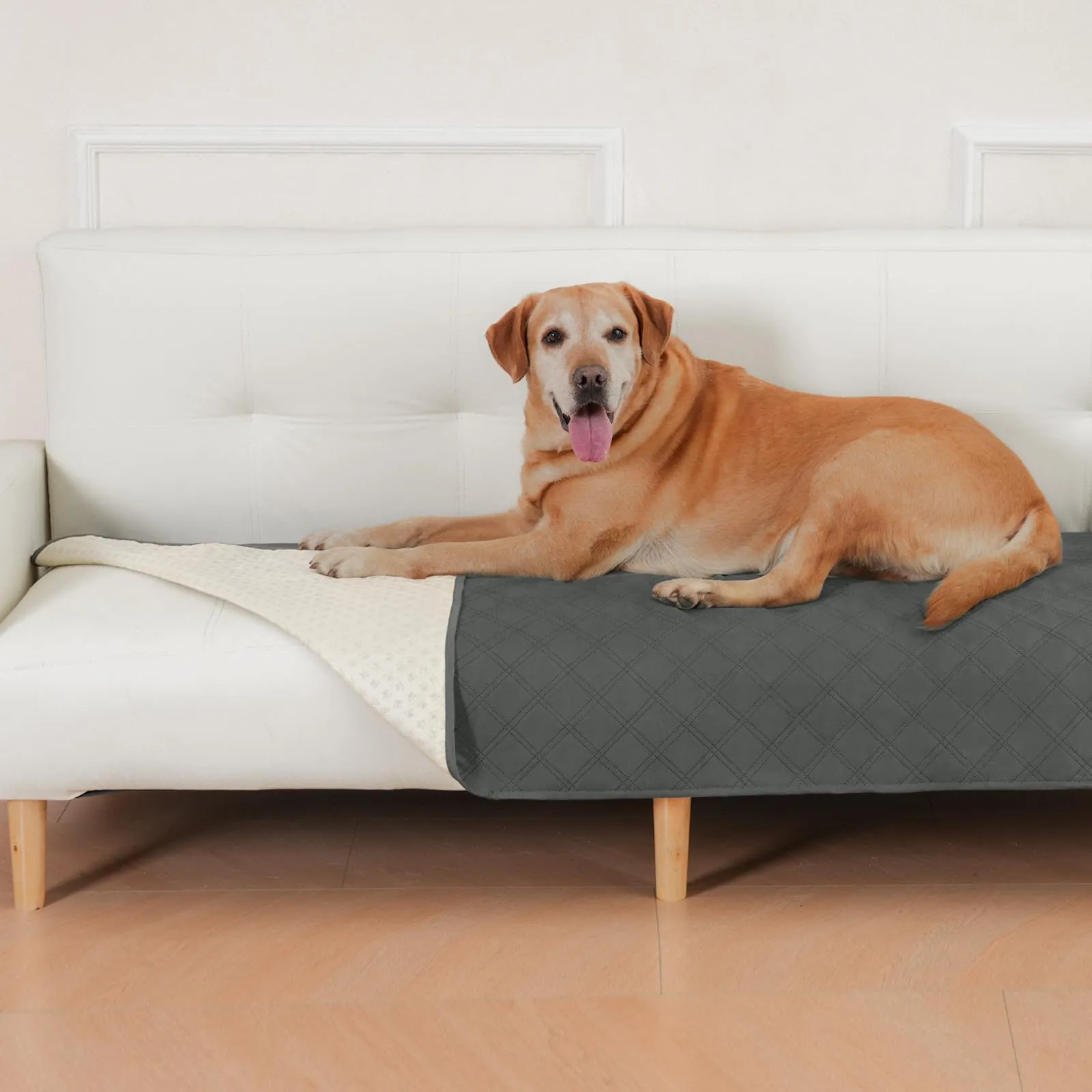 Coperta Impermeabile per Cani, Copridivano Antiscivolo 76 x 180 cm - immagine 1