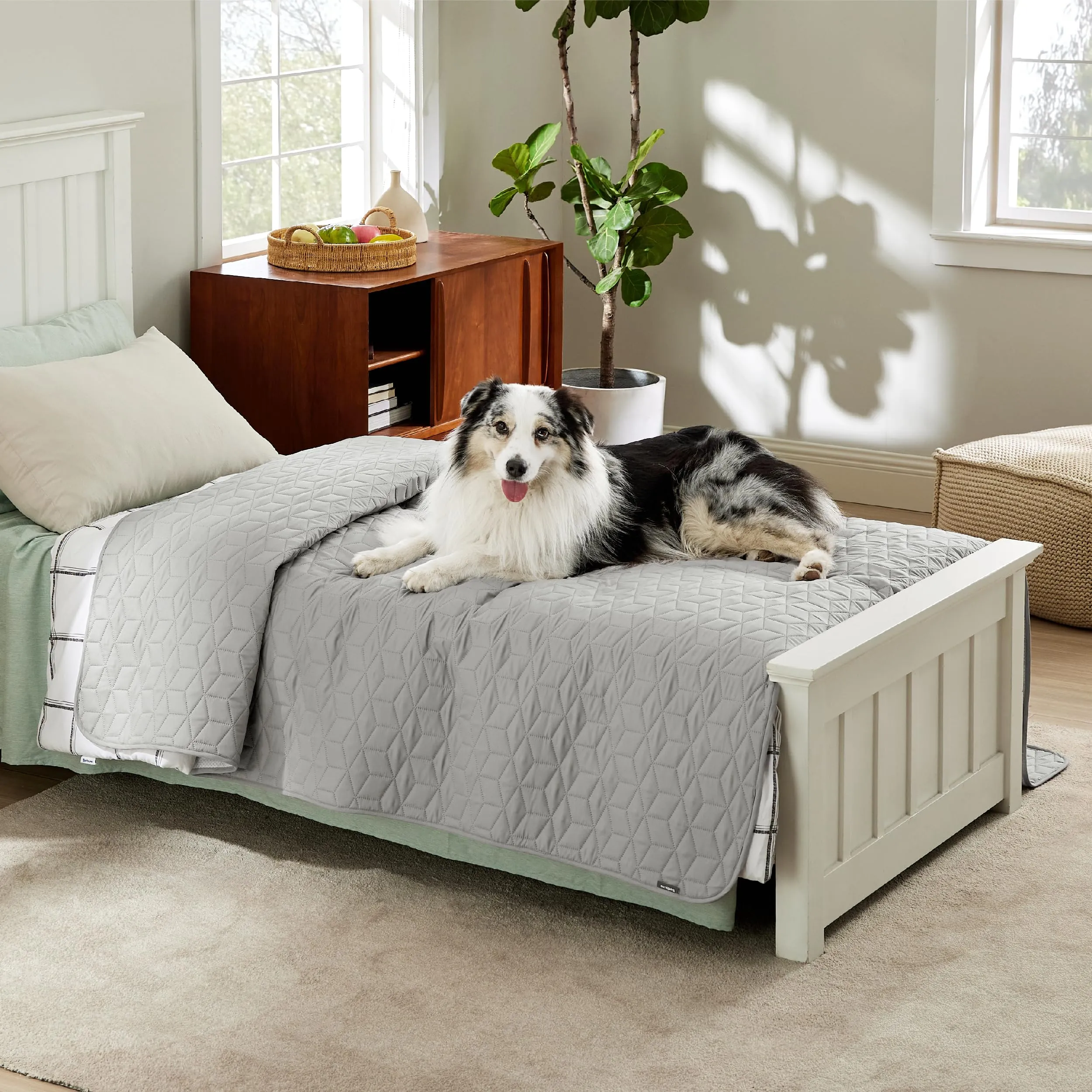 Bedsure Copridivano Impermeabile per Cane, Coperta per Cani, 173x208 cm - immagine 7