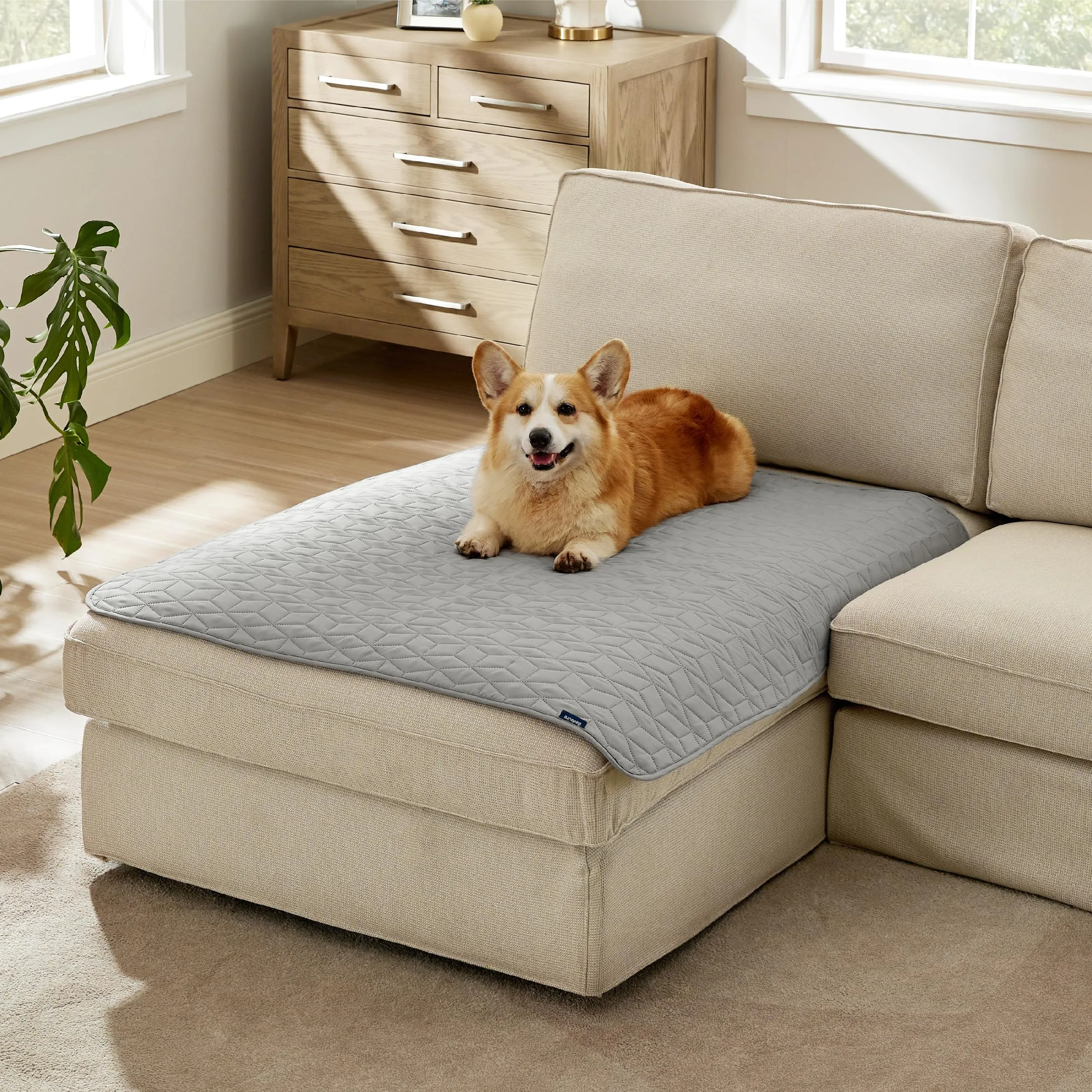 Bedsure Copridivano Impermeabile per Cane, Coperta per Cani, 102x127 cm - immagine 7