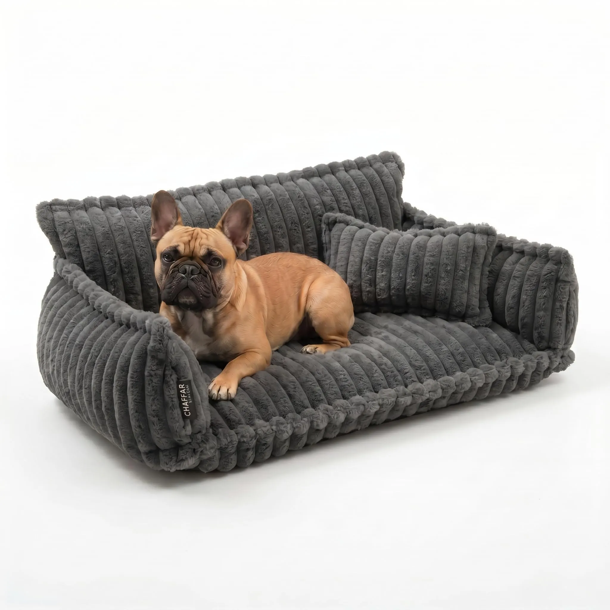 noviclass Divano Chaffar per cani | Cuccia per cani | Materasso ortopedico | Stile moderno | Design in velluto a coste - immagine 1