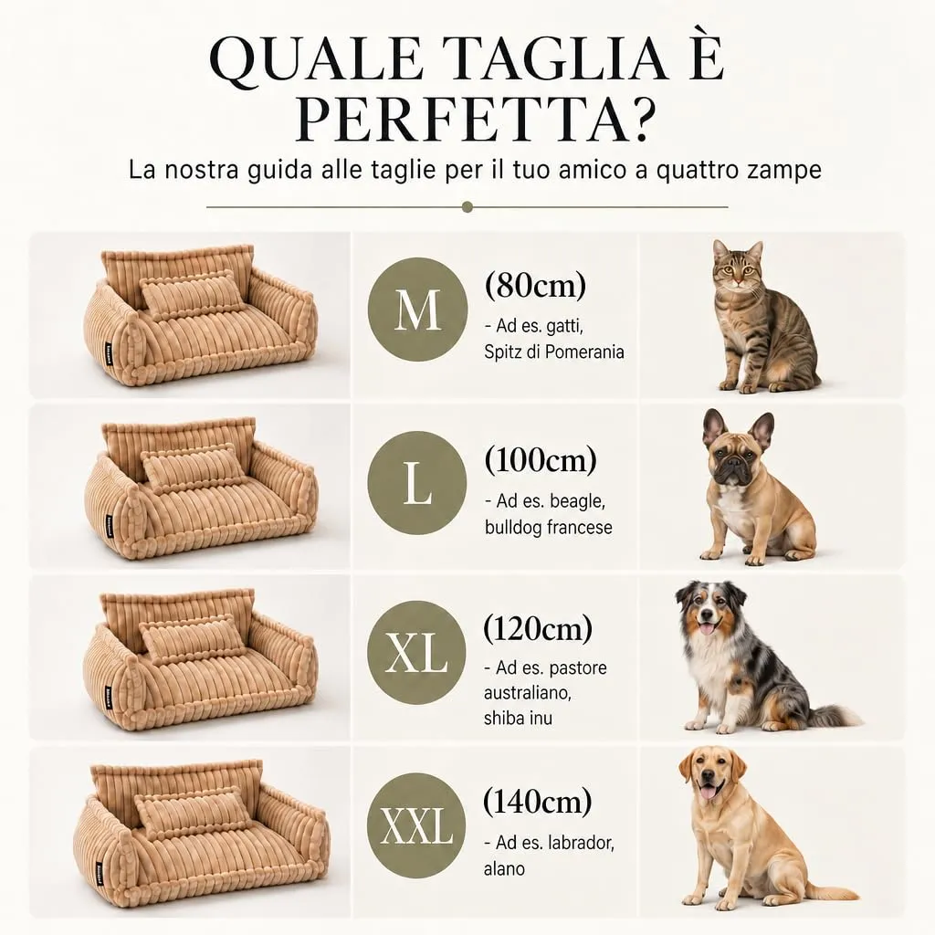 noviclass Divano Chaffar per cani | Cuccia per cani | Materasso ortopedico | Stile moderno | Design in velluto a coste - immagine 7